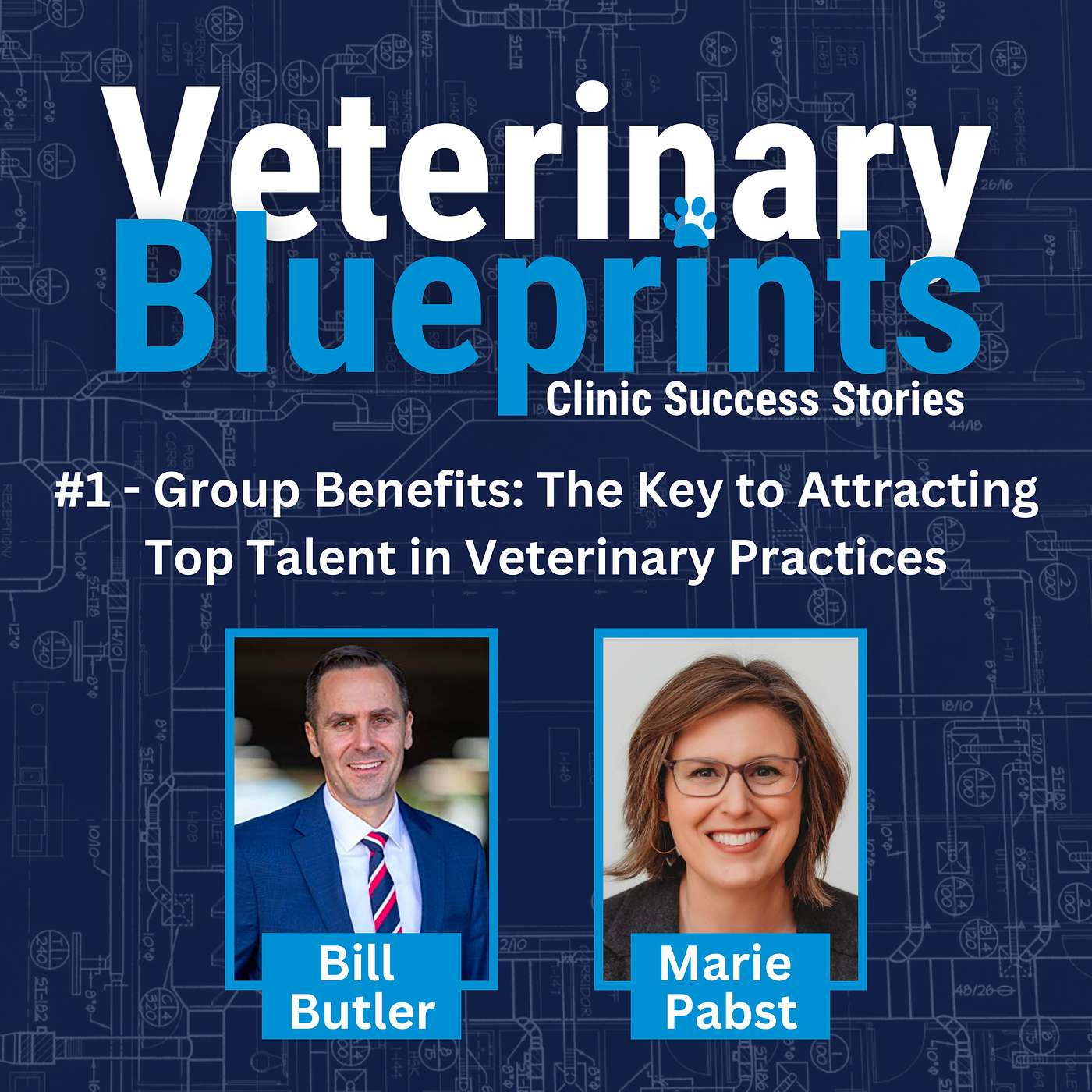 #1 - Group Benefits: The Key to Attracting Top Talent in Veterinary Practices episode artwork