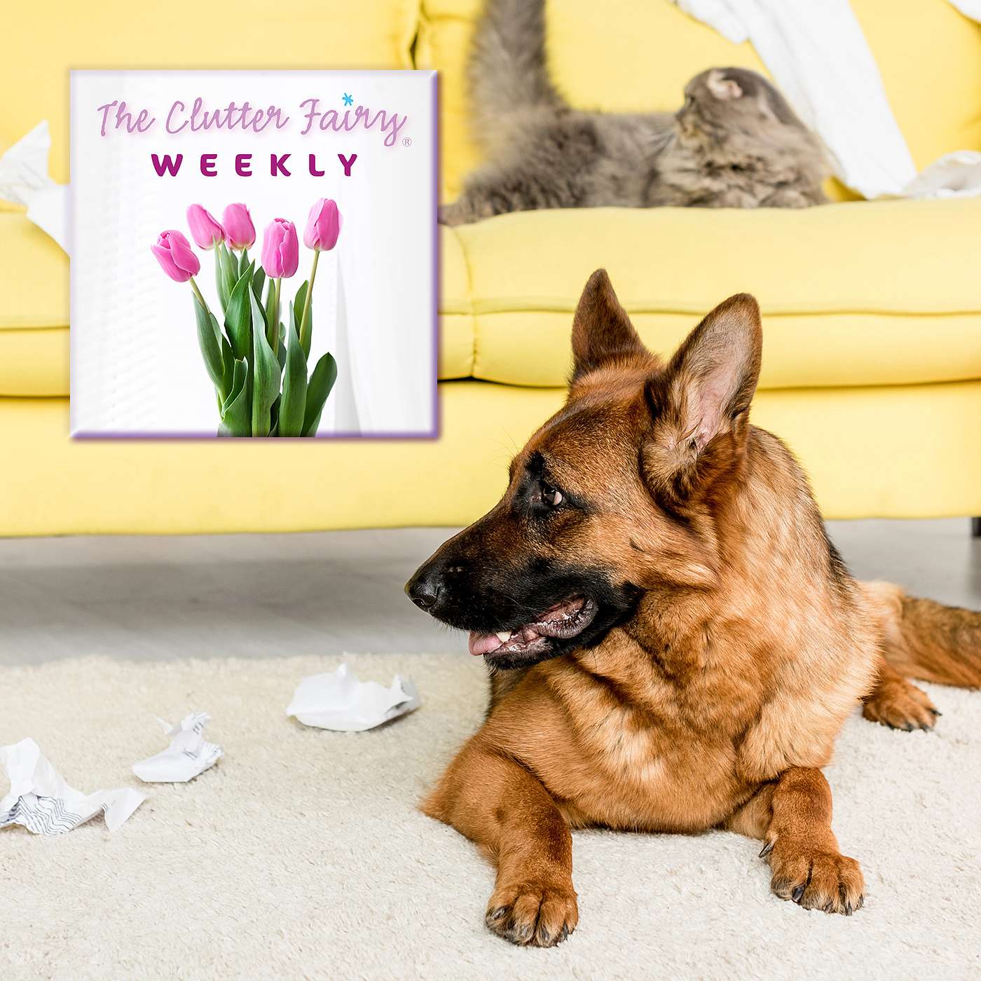Partners in Clutter: Organizing With (or in Spite of) Other People - The Clutter Fairy Weekly #269