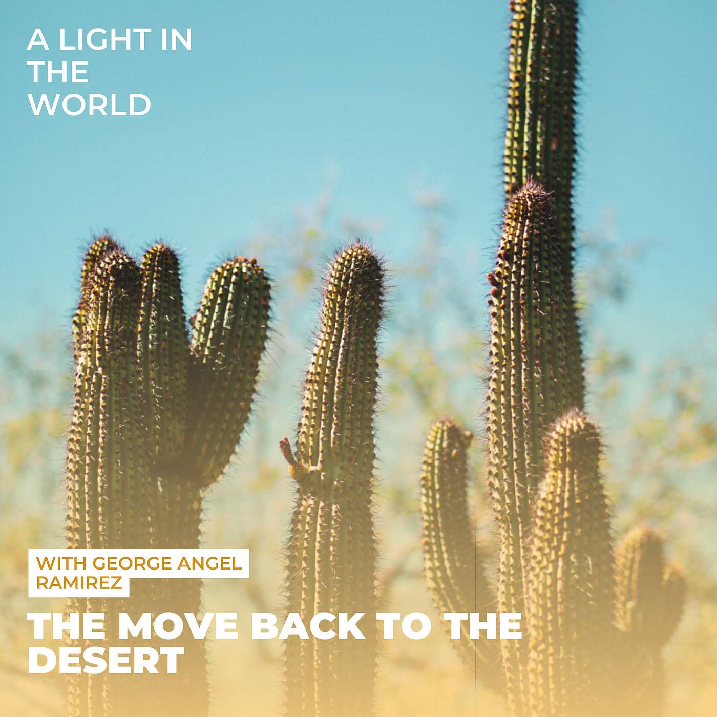 A Light In The World