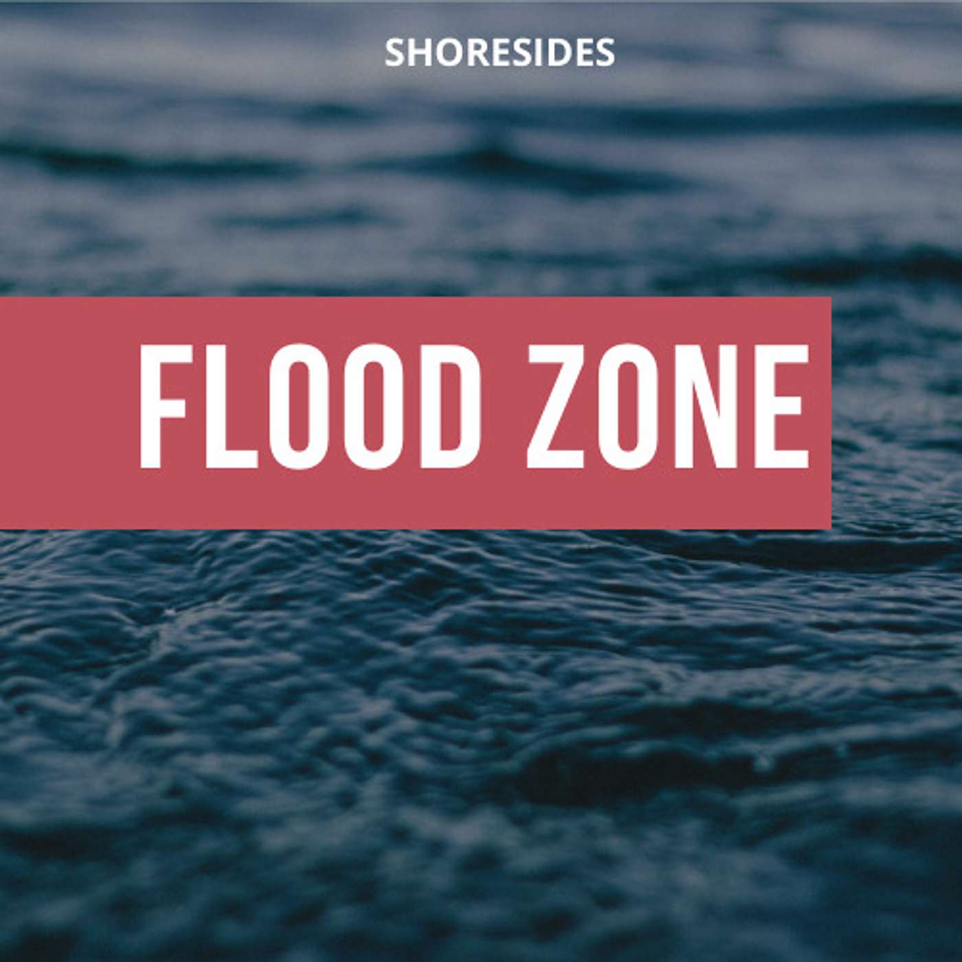 Flood Zone