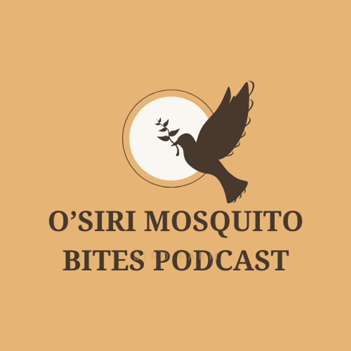 JOELSON ANERE's Podcast