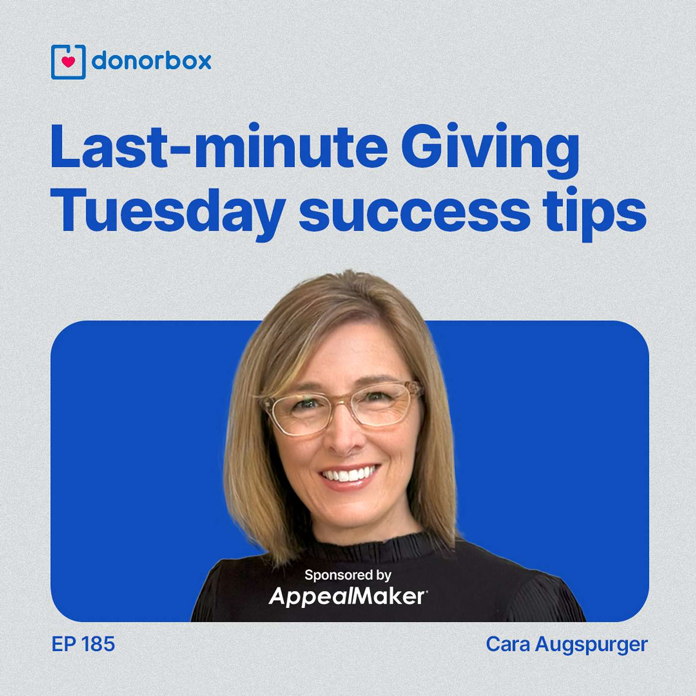 Ep 185 | Last-Minute Giving Tuesday Success Tips