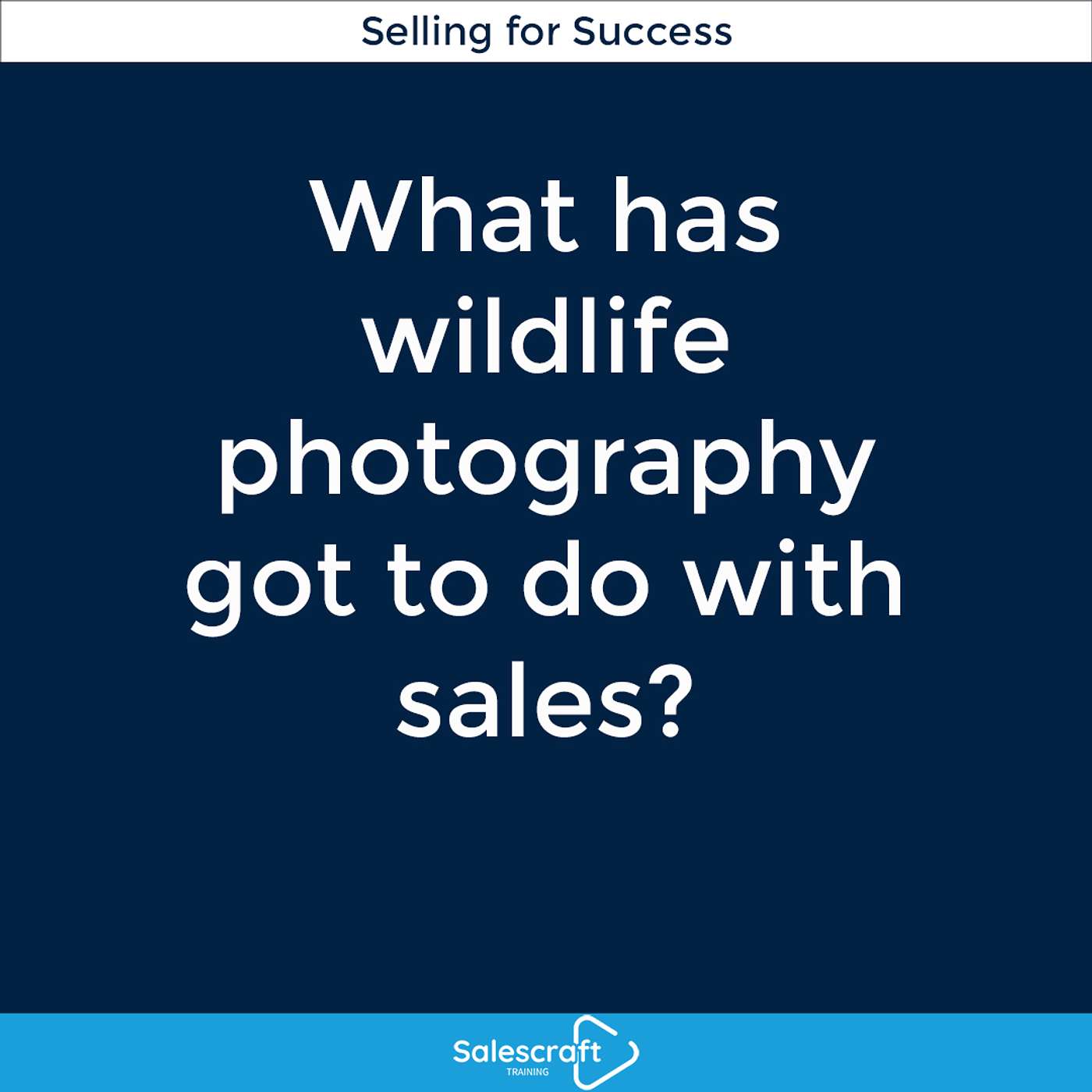 What has wildlife photography got to do with sales? episode artwork