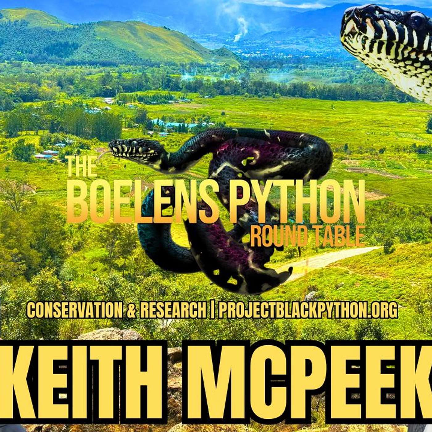 Episode 11: Beyond Observation In Situ Footage, Round 2 With Keith McPeek | BPRT