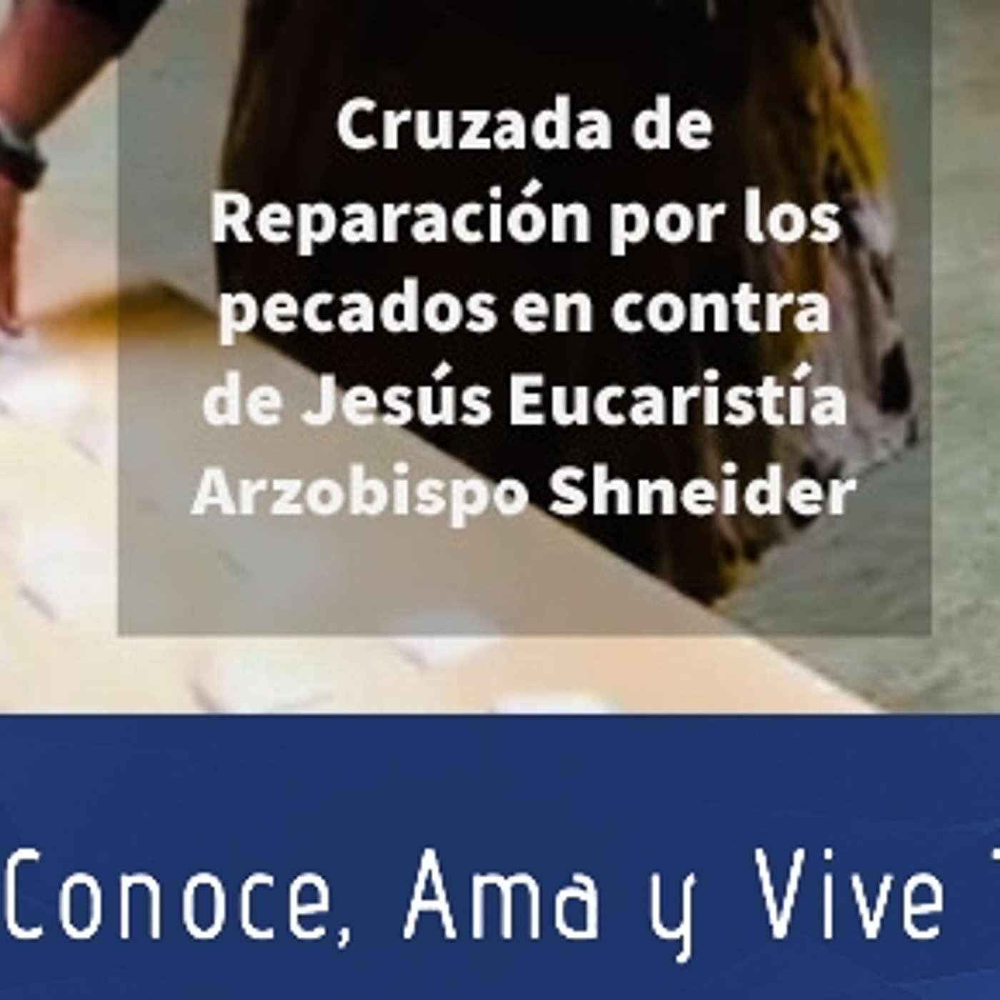Episodio 304: 🙏 Cruzada de reparación por los pecados contra Jesús en la Sagrada Eucaristía 😪 Obispo Shneider 👏 episode artwork