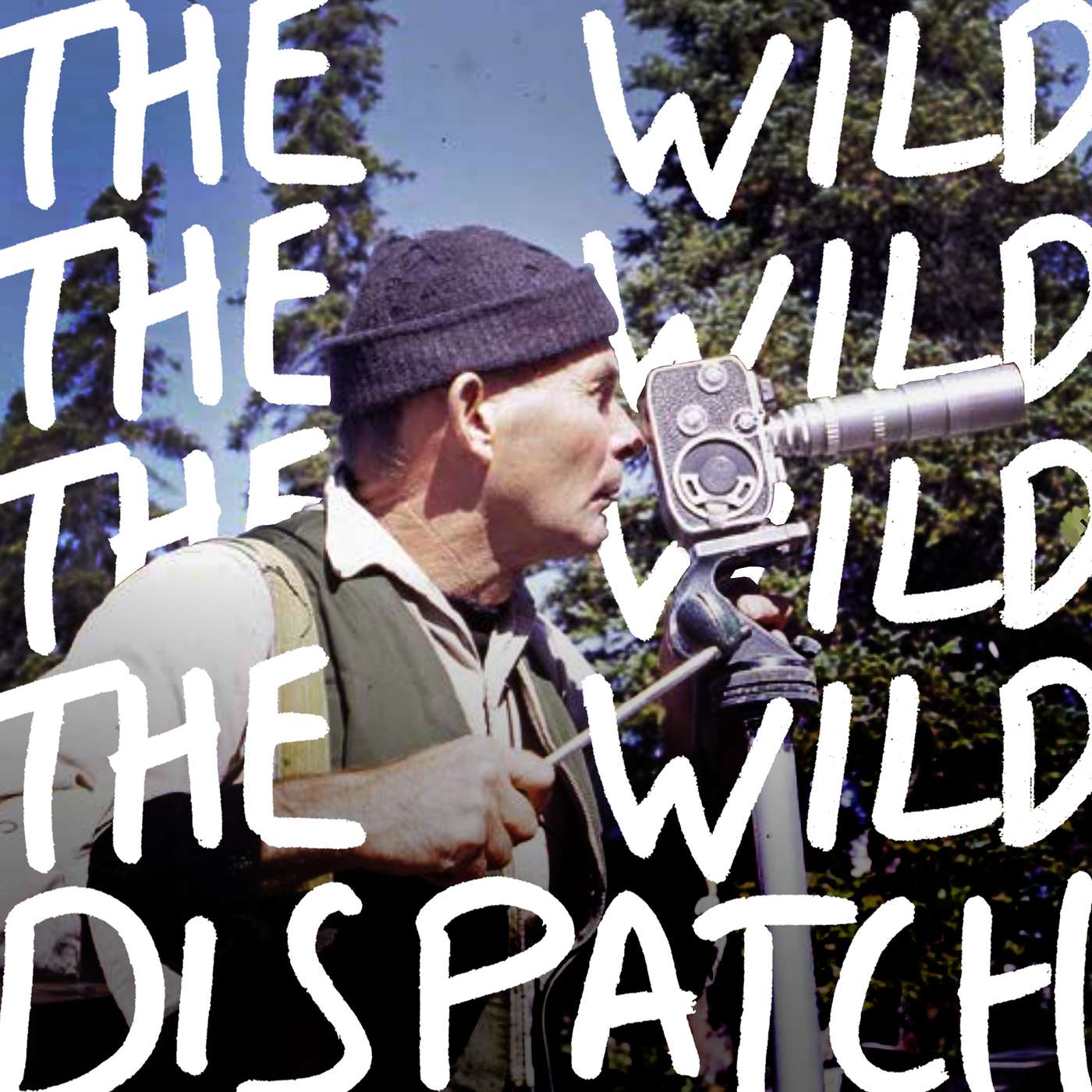 The Wild Dispatch