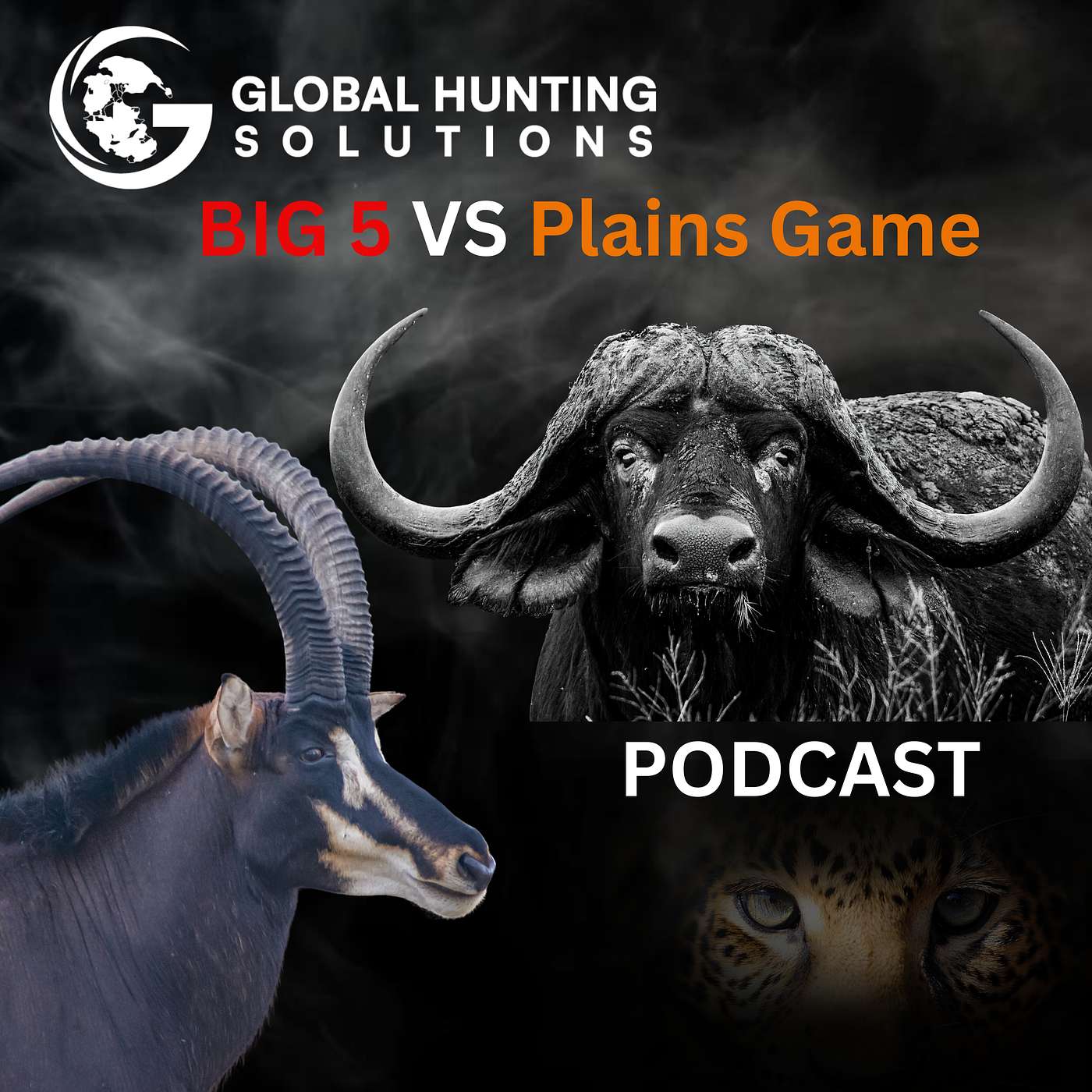 Africa's Ultimate Debate: Big Five vs. Plains Game