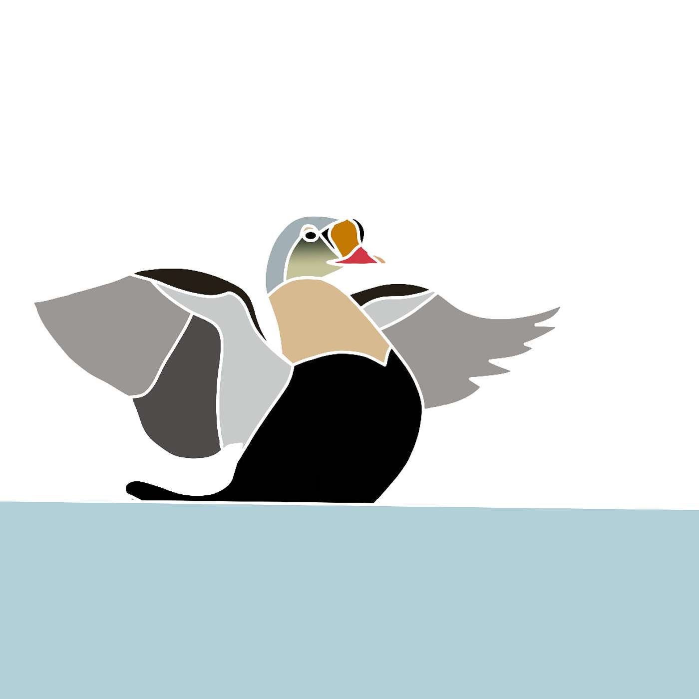 The King Eider episode artwork
