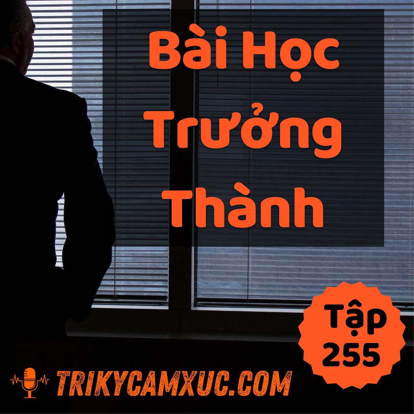 Muốn Trưởng Thành, Phải Học Xong Bài Học Này - Tri kỷ cảm xúc #255