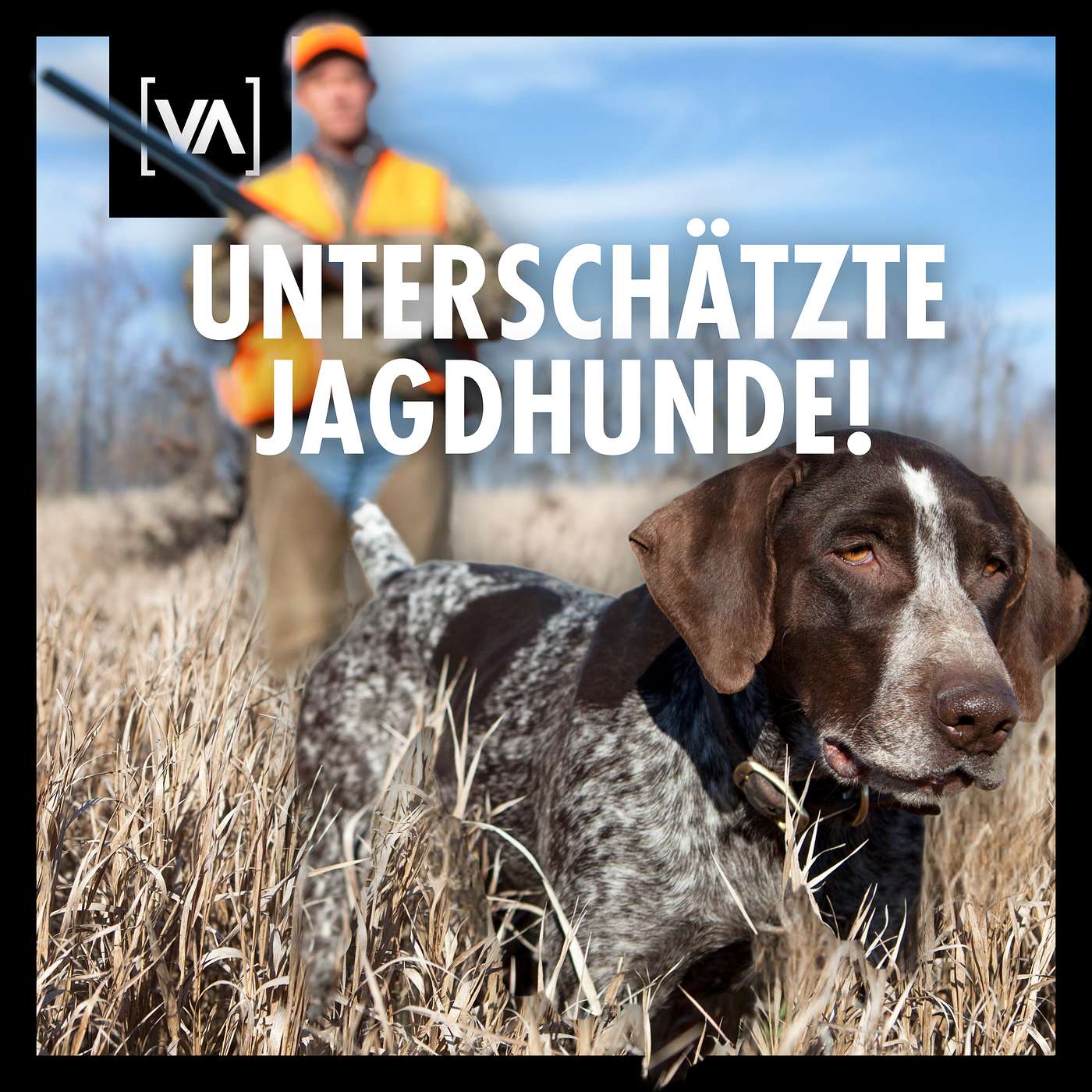 Diese Jagdhunde werden am häufigsten unterschätzt – und genau das macht sie gefährlich! | Episode 17