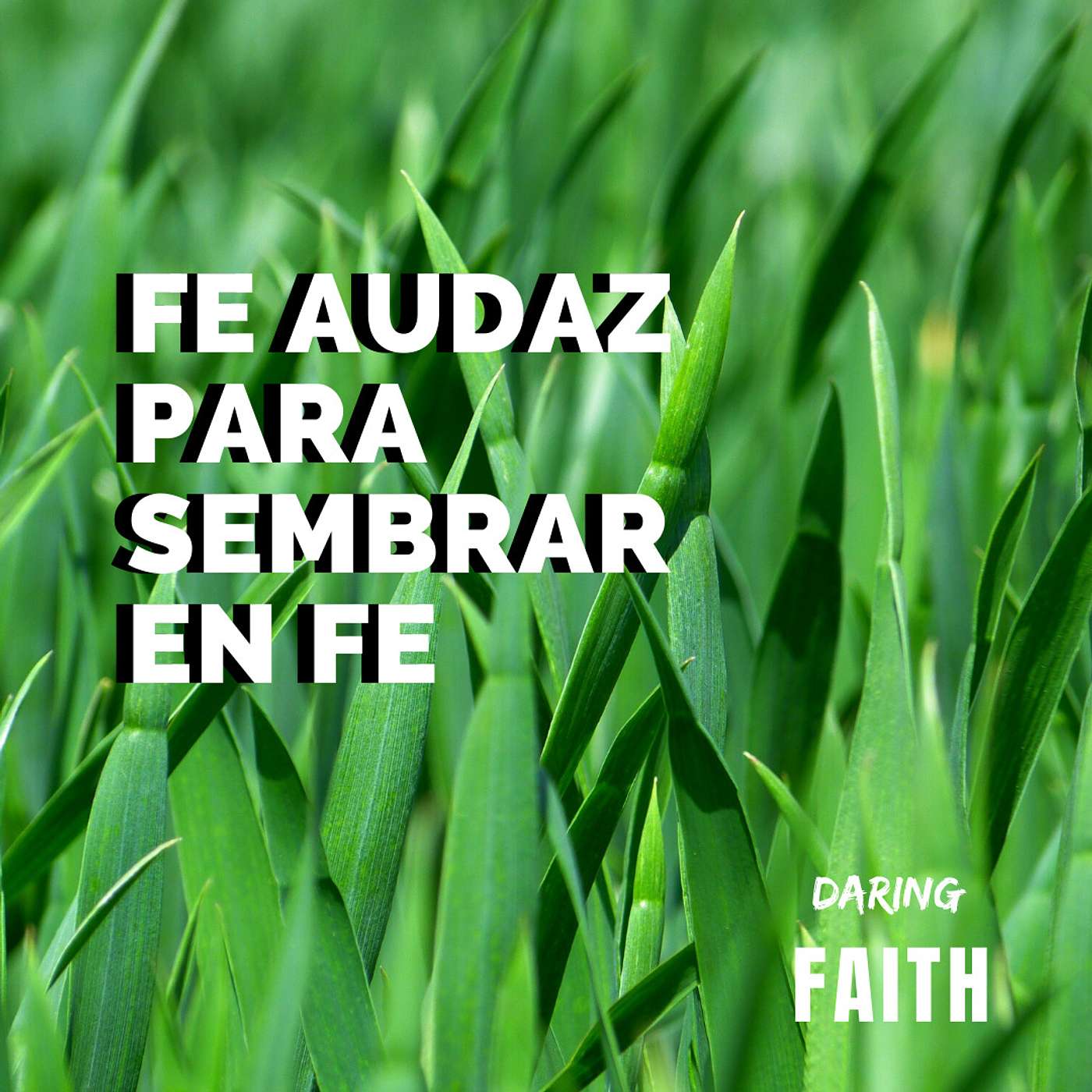 Fe Audaz Para Sembrar en Fe