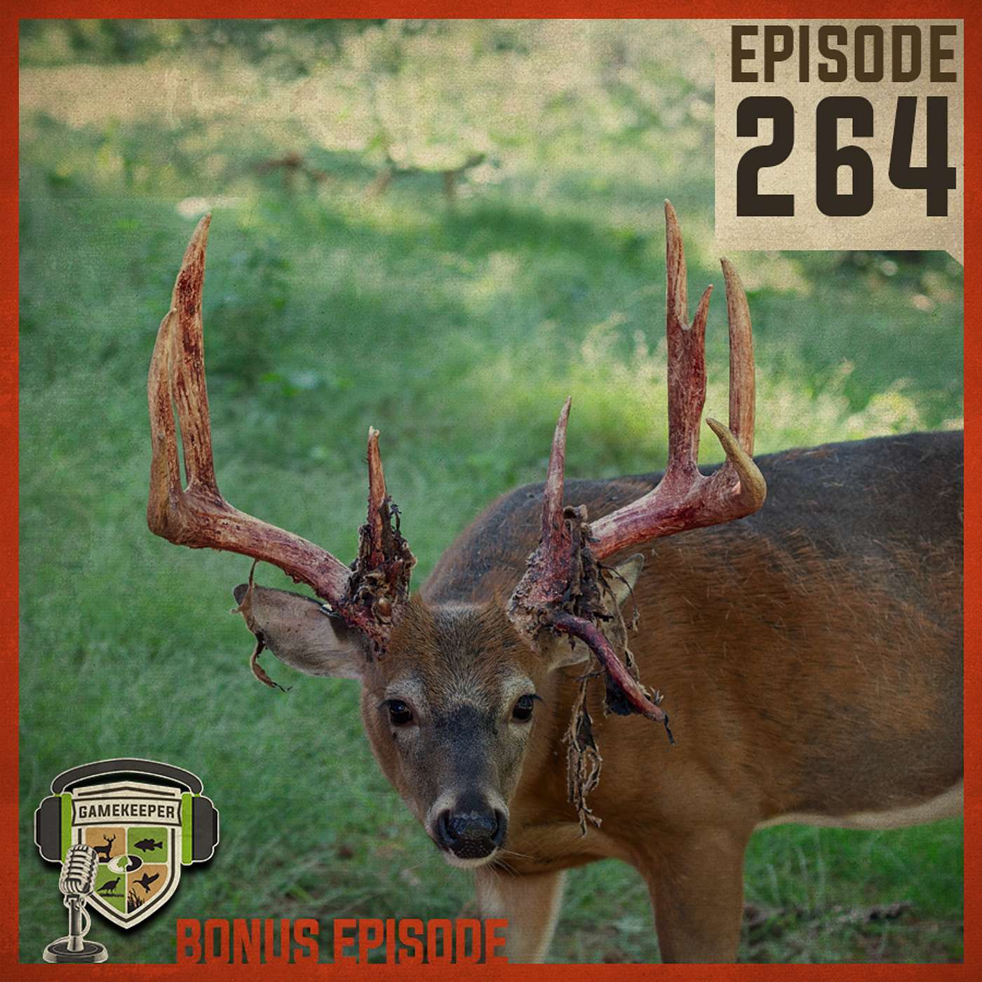 EP:264 | Bonus: From Bachelor Groups to Fight Club