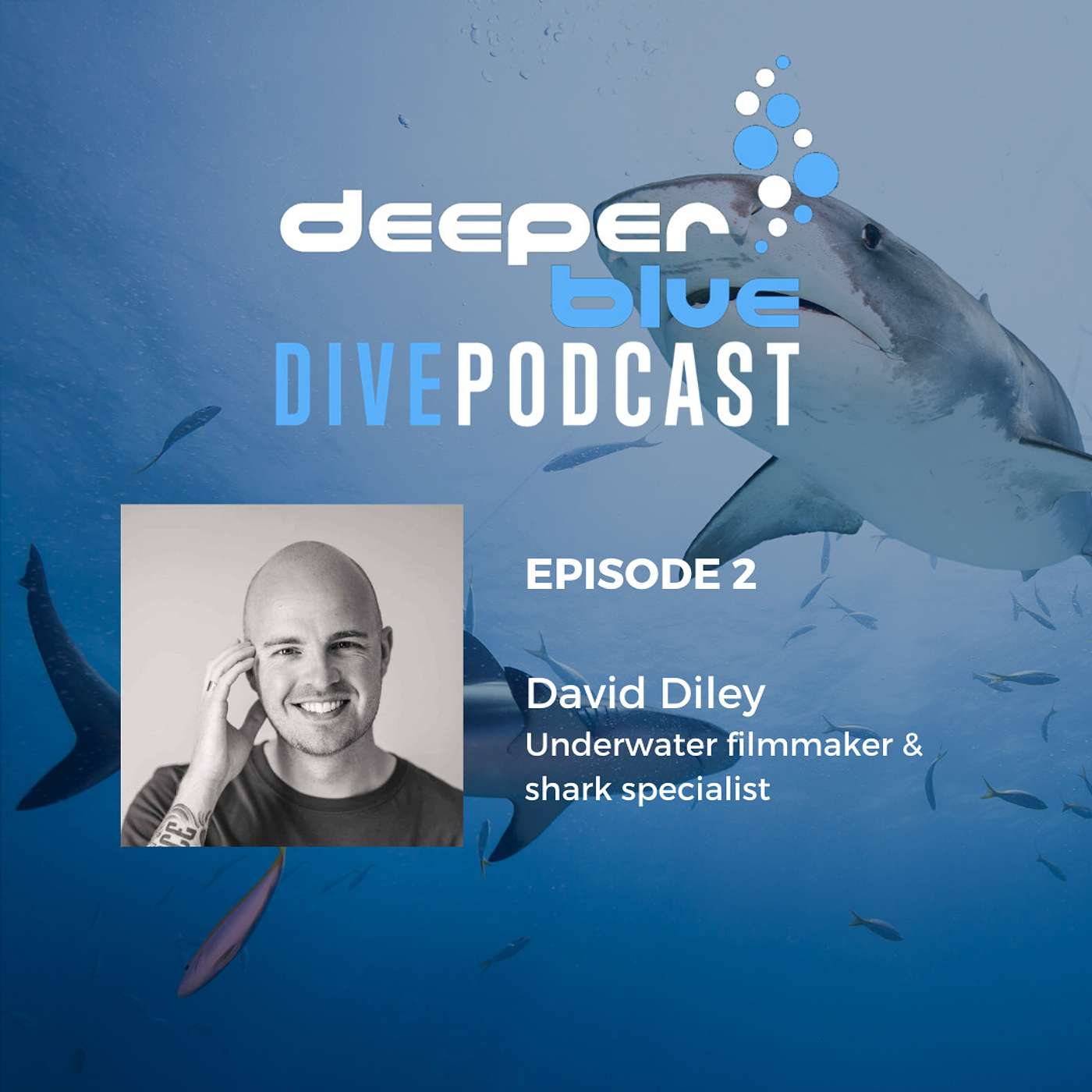 DeeperBlue Podcast - The Day Diving Stood Still, and Underwater Cameraman David Diley