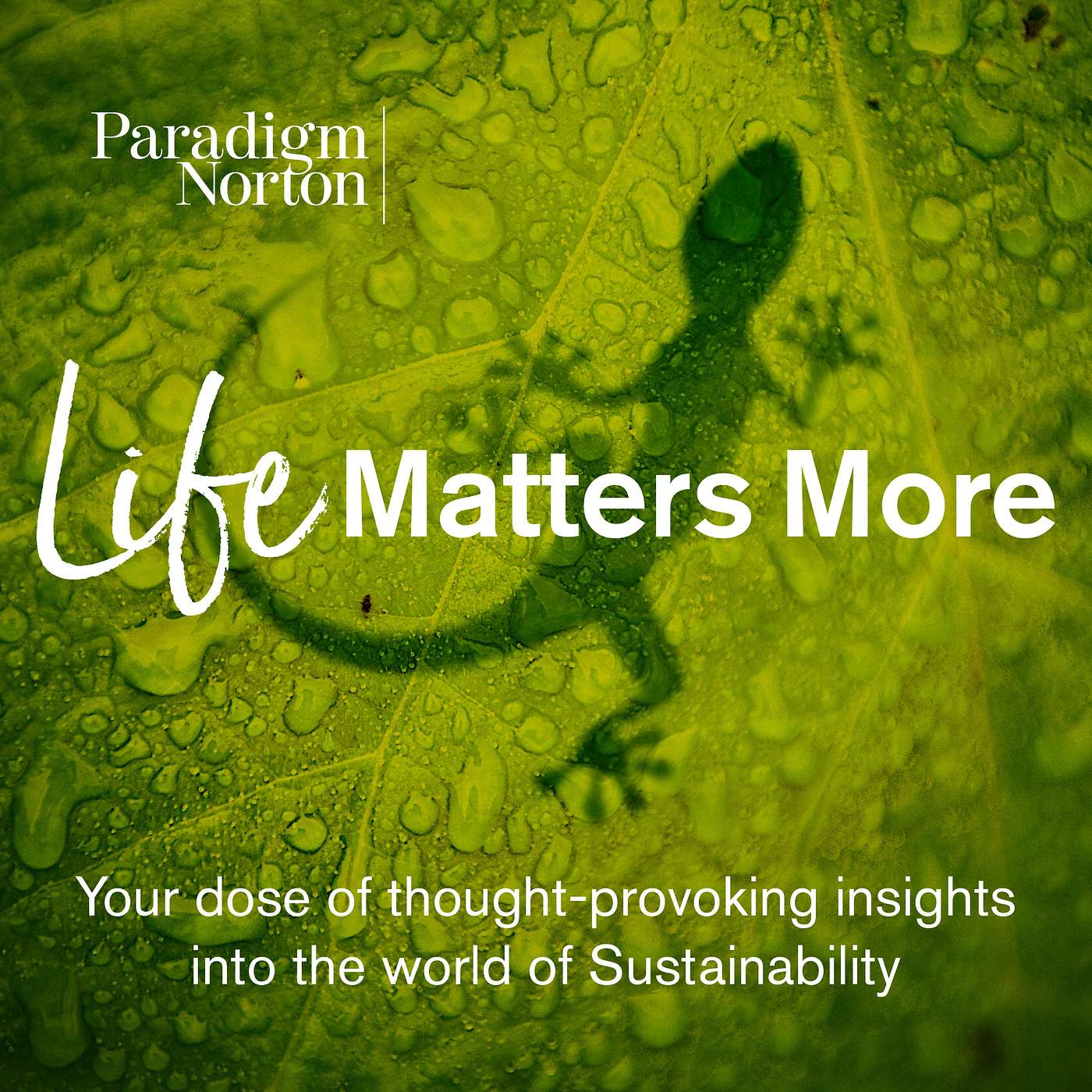 Life Matters More