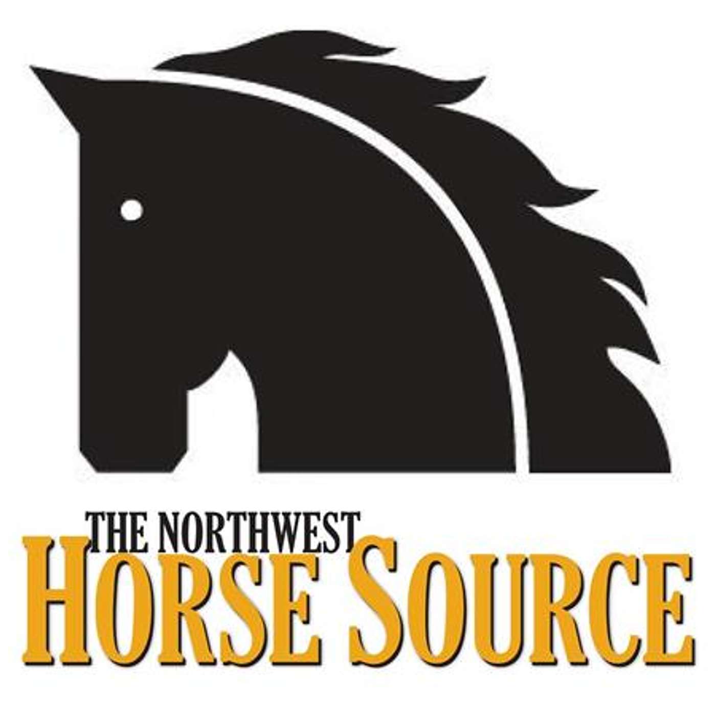 If you Climb in the Saddle Get Ready to Ride...on Equestrian Legacy Radio!