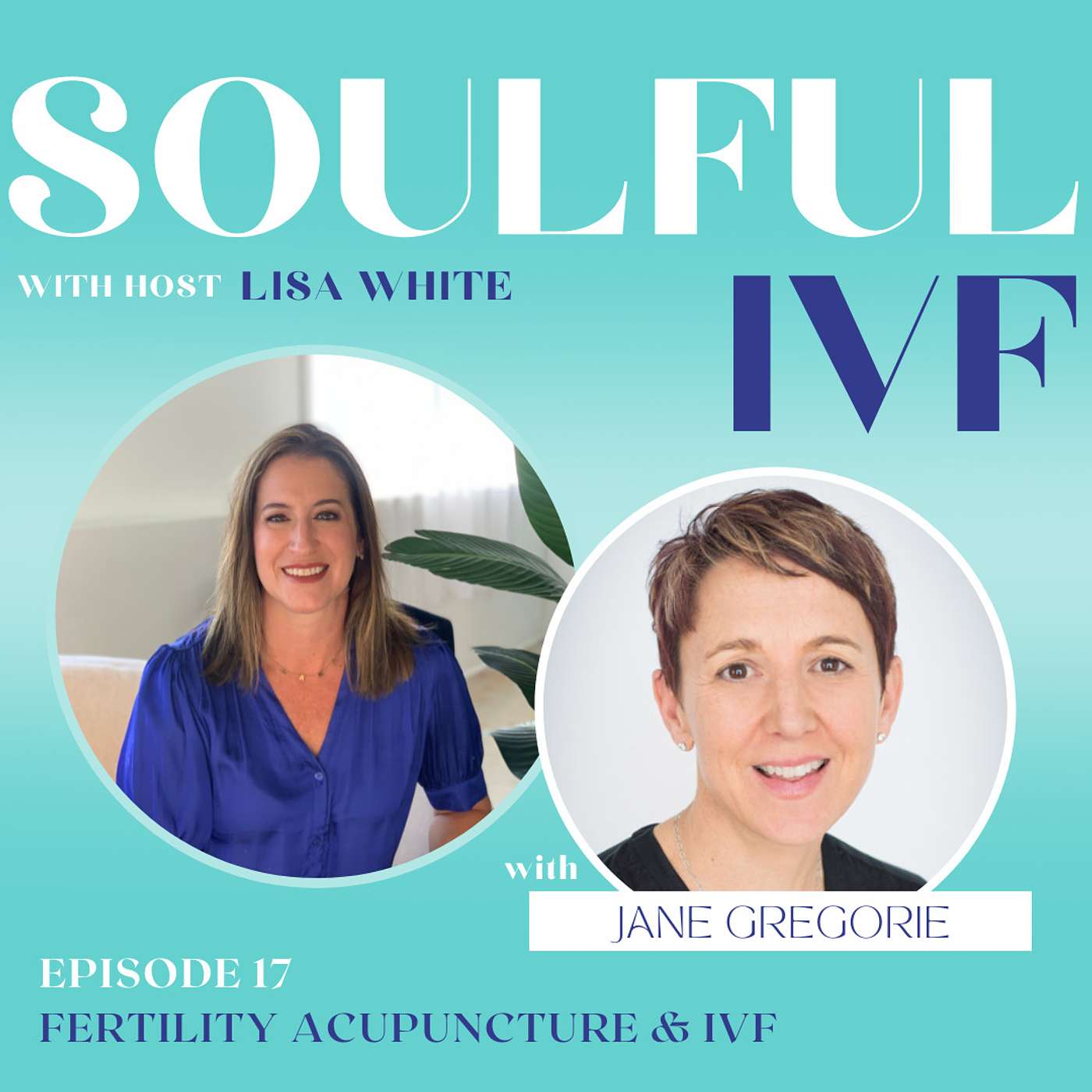 Soulful IVF