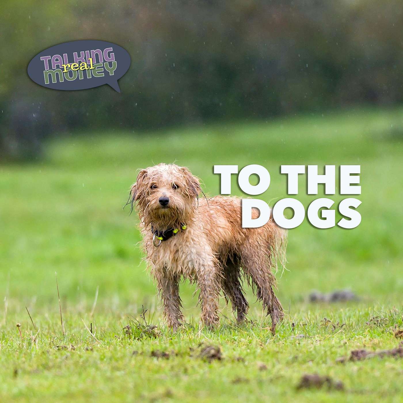 A Christmas Dog Story