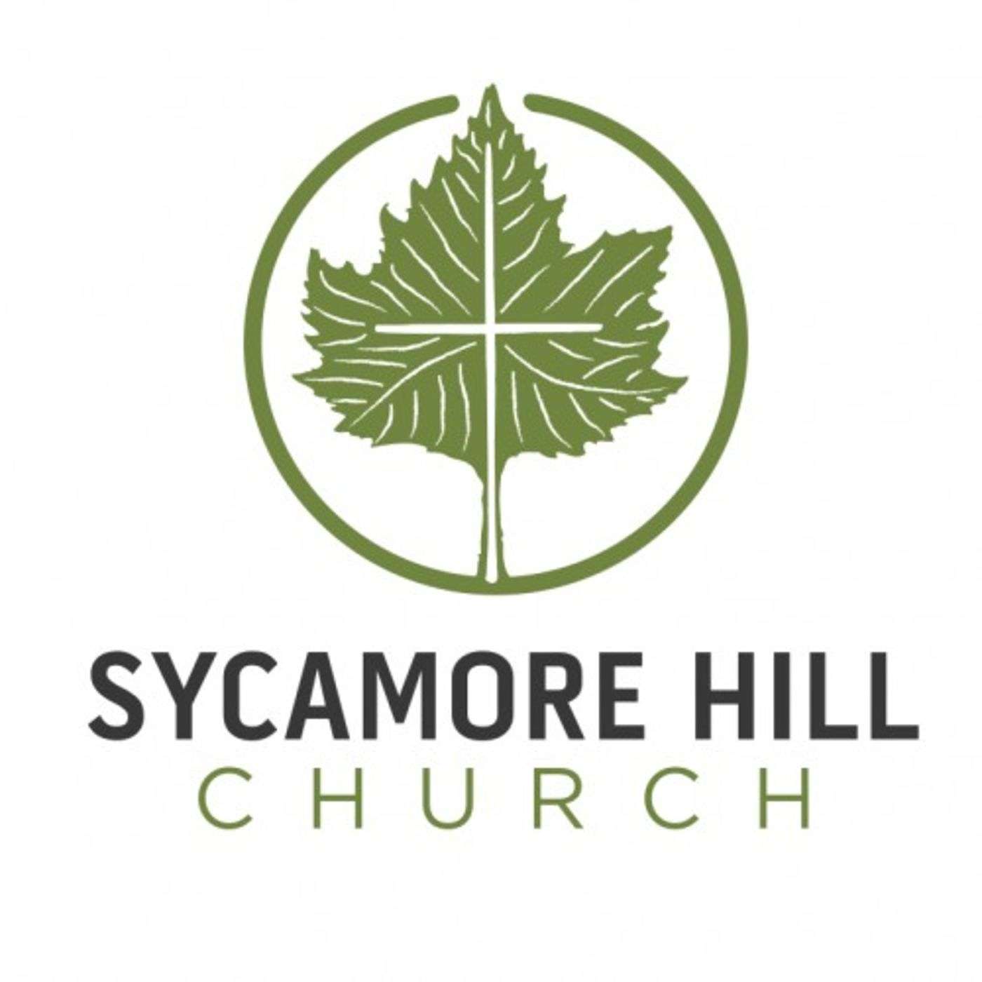 God's Family: Maturity Spreads a Growing Church (2 Timothy)