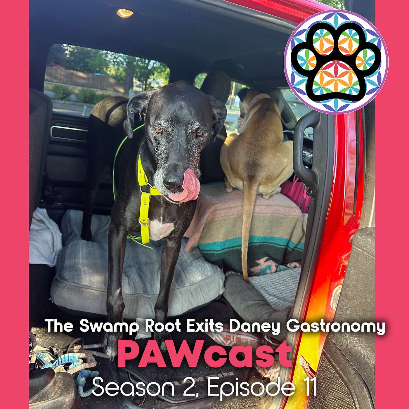 The Swamp Root Exits Daney Gastronomy episode artwork