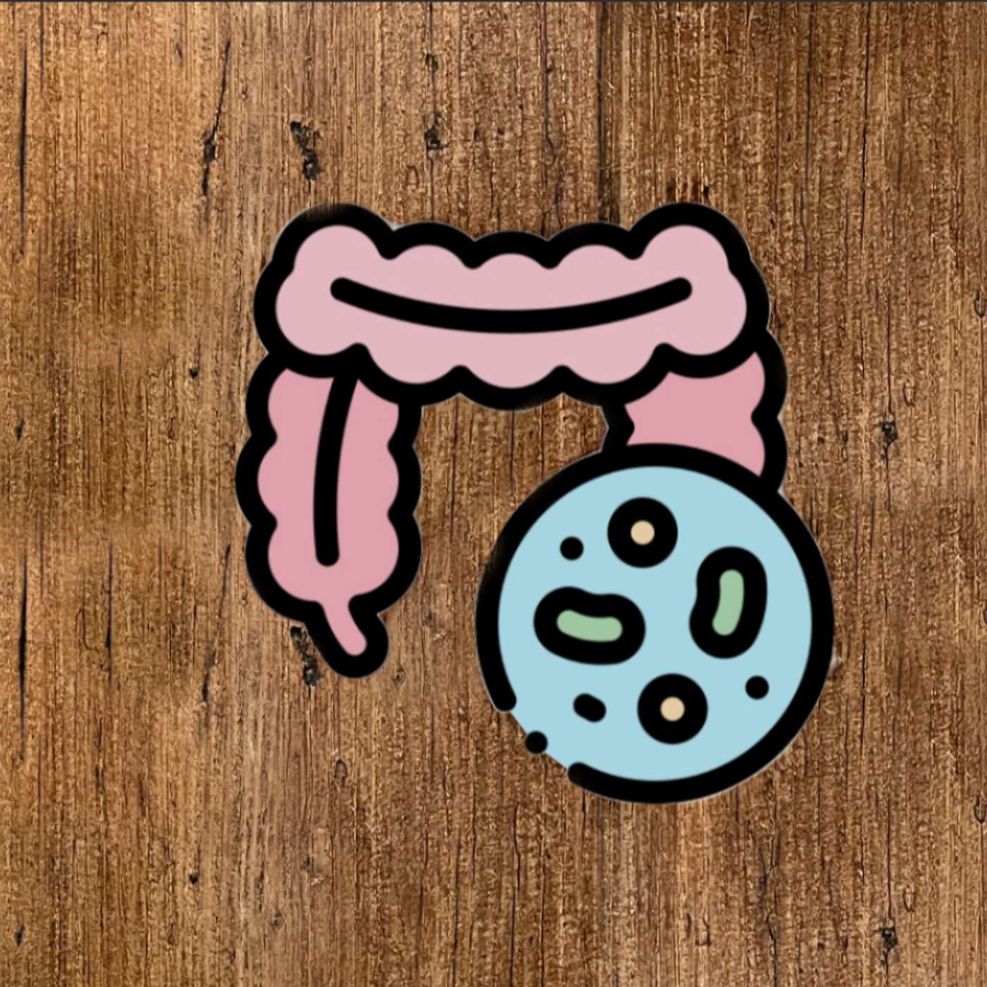 Das Mikrobiom & der Mensch Das Mikrobiom & der Mensch