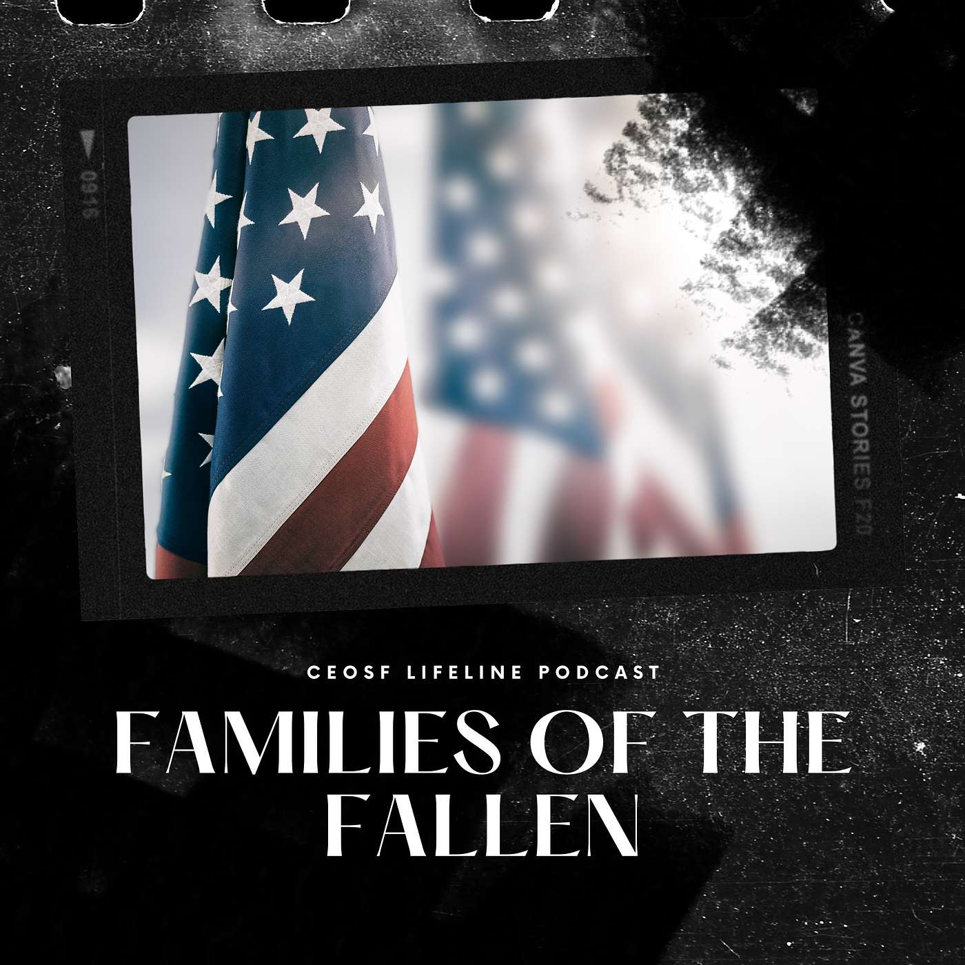 Families of the Fallen