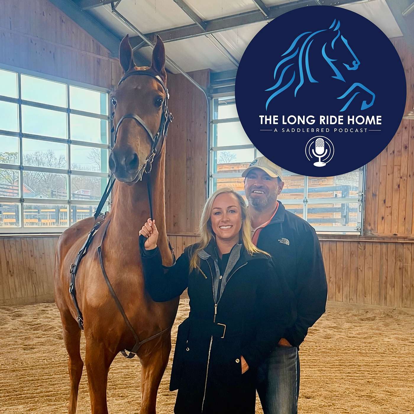 After 26 Years Away: Finding My Way Back to American Saddlebreds