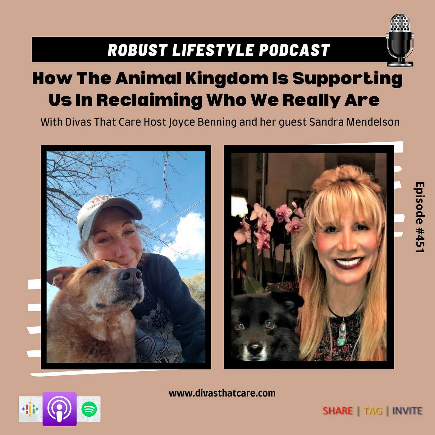 How The Animal Kingdom Is Supporting Us In Reclaiming Who We Really Are episode artwork