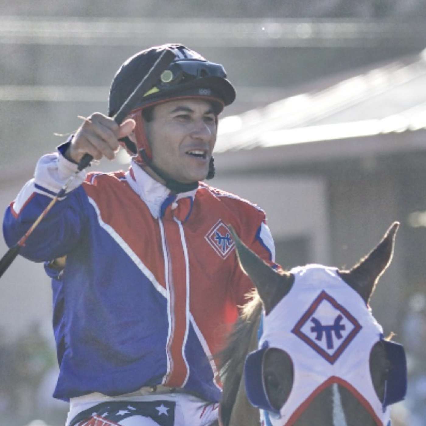 StallioneSearch Podcasts