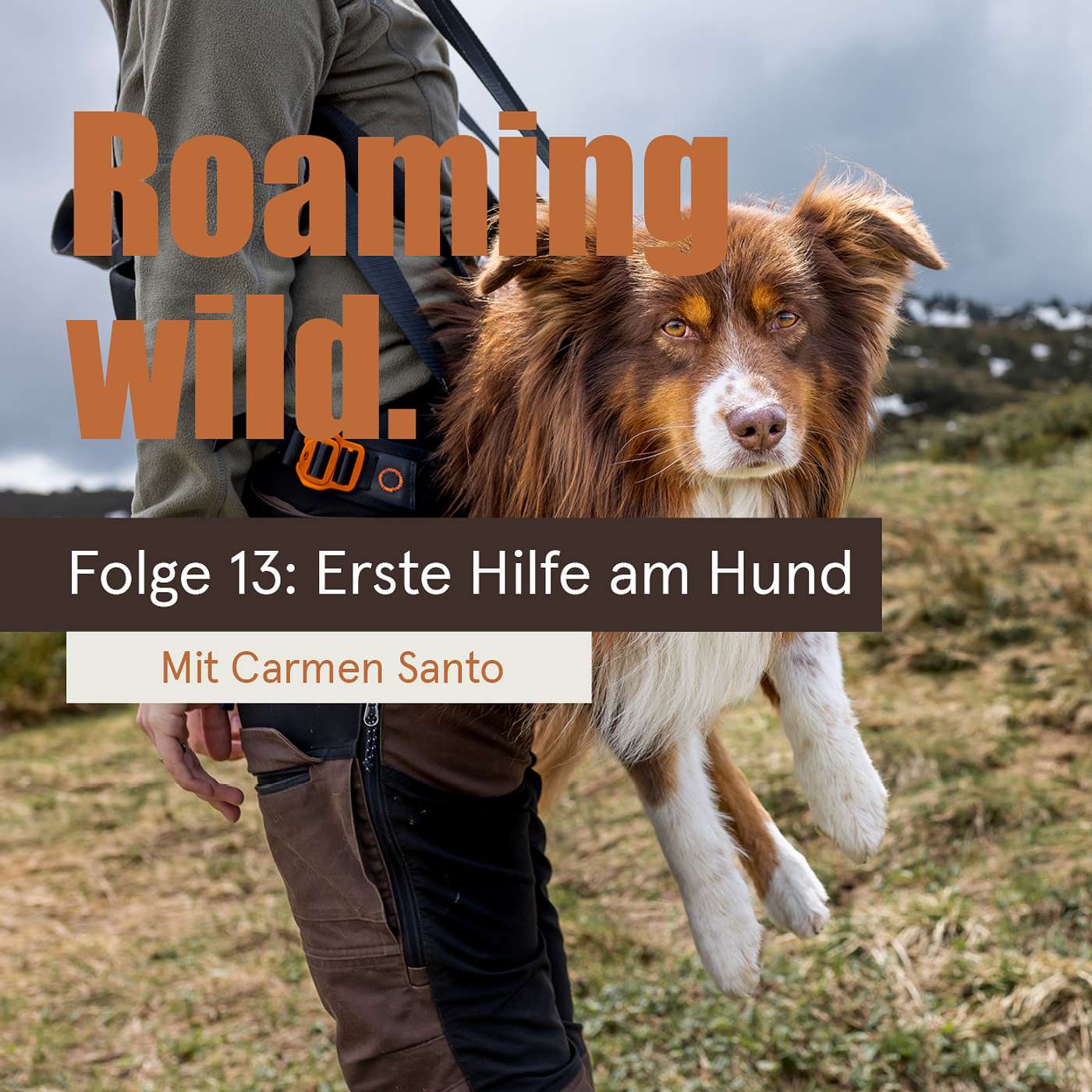 Roaming Wild - Outdoorerlebnisse und Fotografie mit Hund