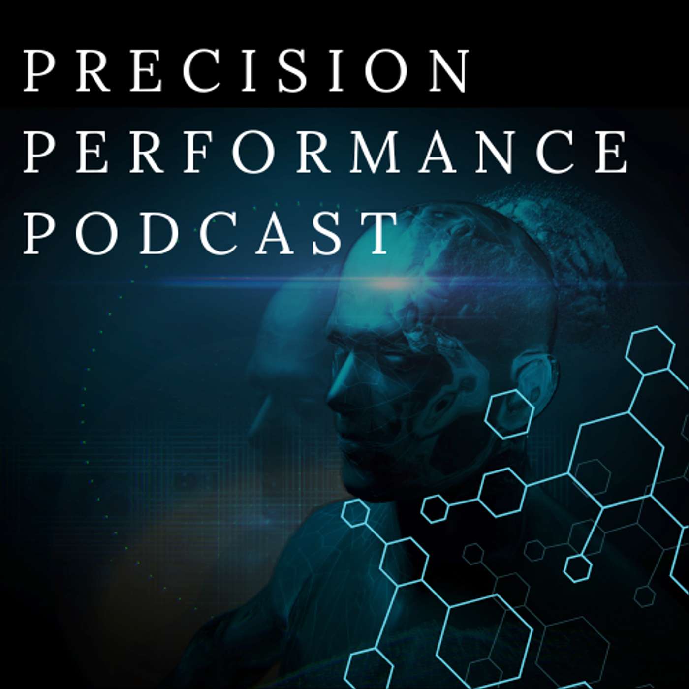 Precision Performance podcast