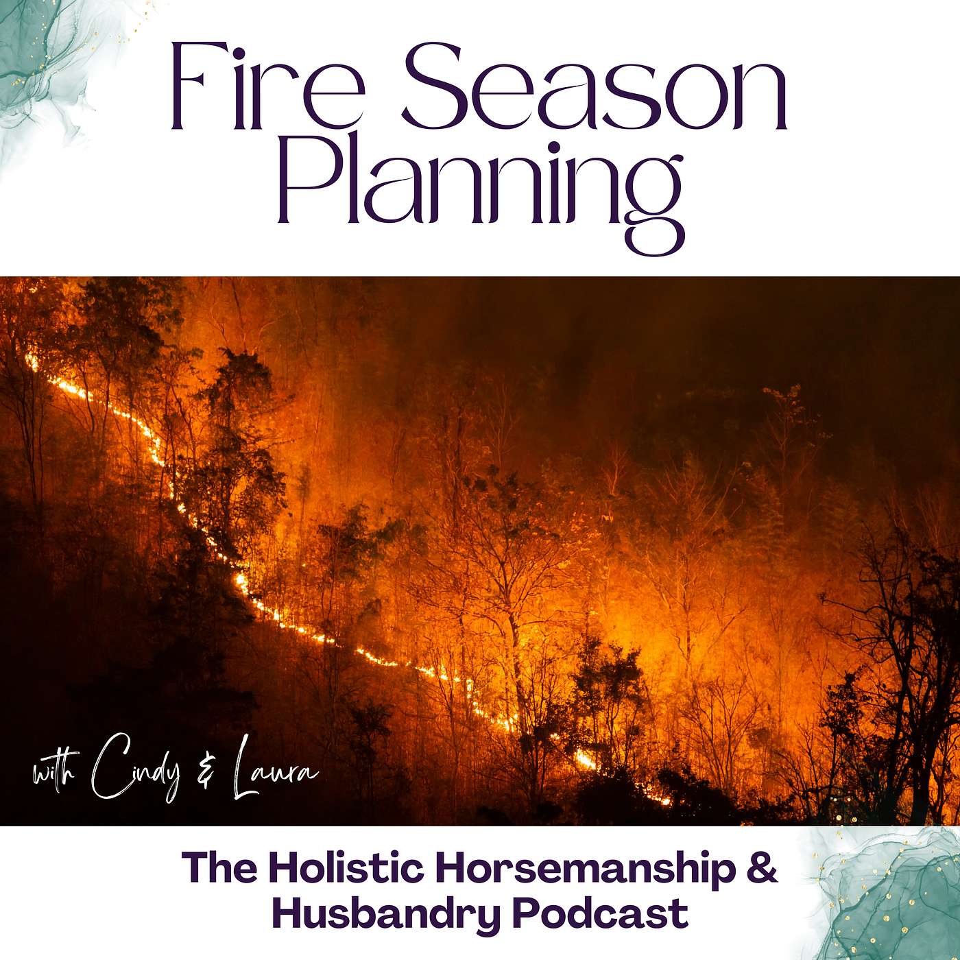 The Holistic Horsemanship and Husbandry Podcast