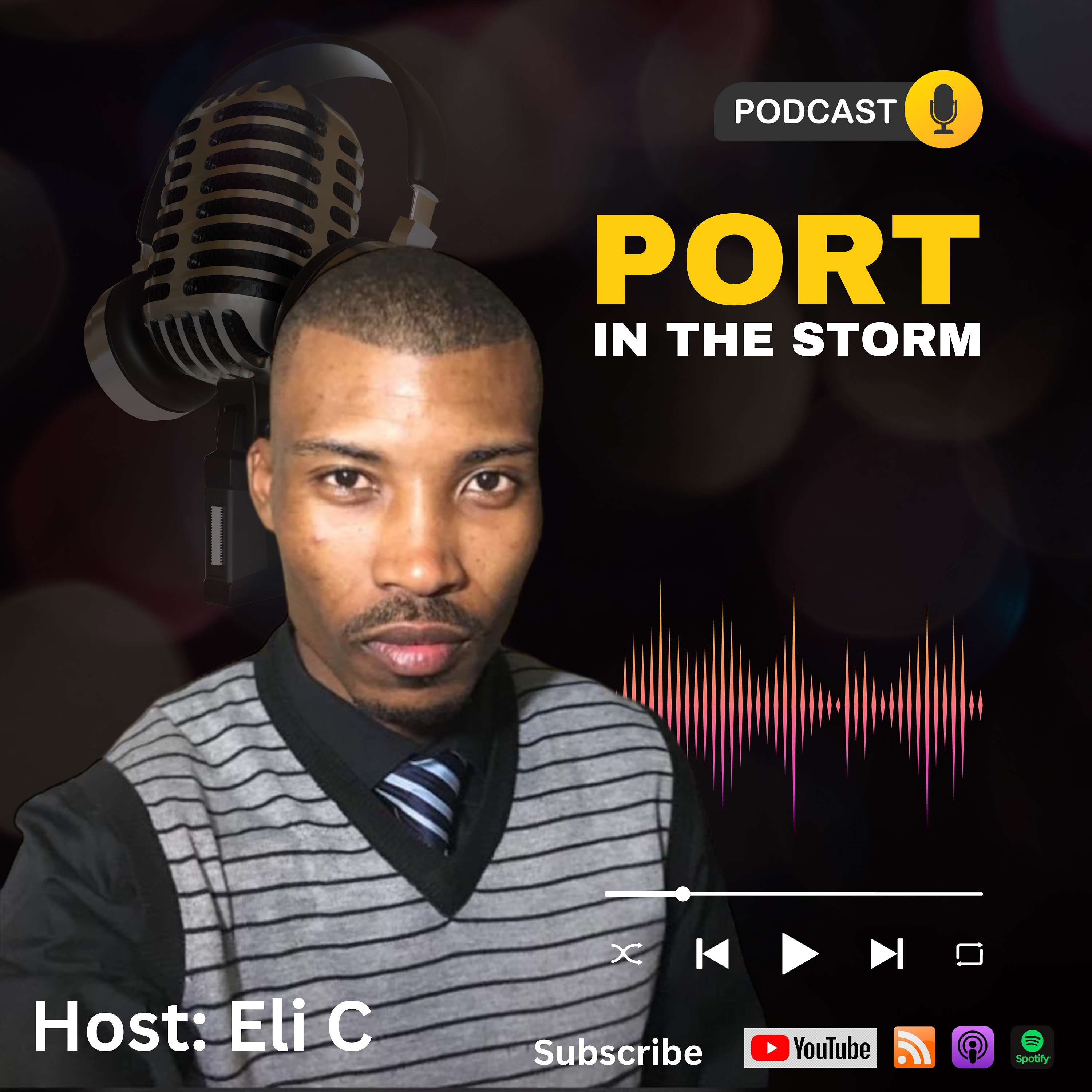 PORT IN A STORM's Podcast