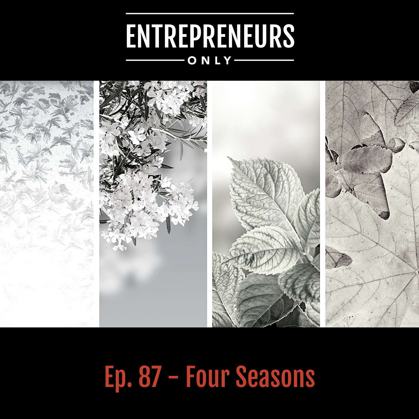 Four Seasons