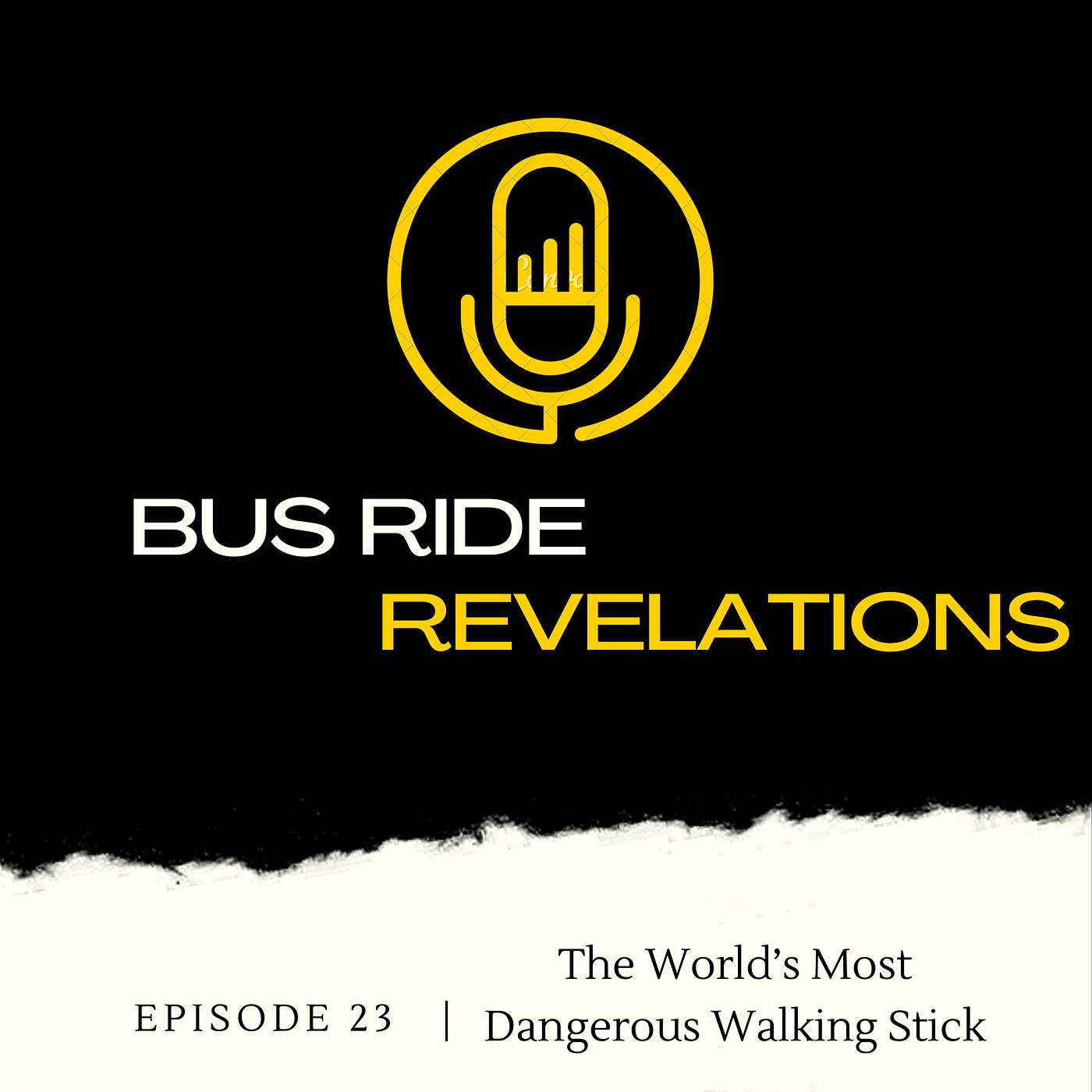 The World's Most Dangerous Walking Stick The World's Most Dangerous Walking Stick