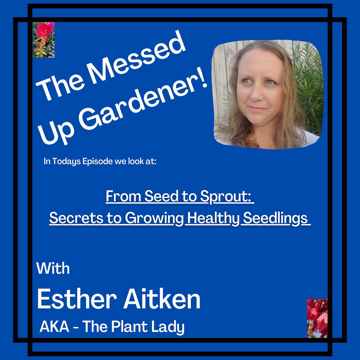 Ep 25 – From Seed to Sprout: Secrets to Growing Healthy Seedlings