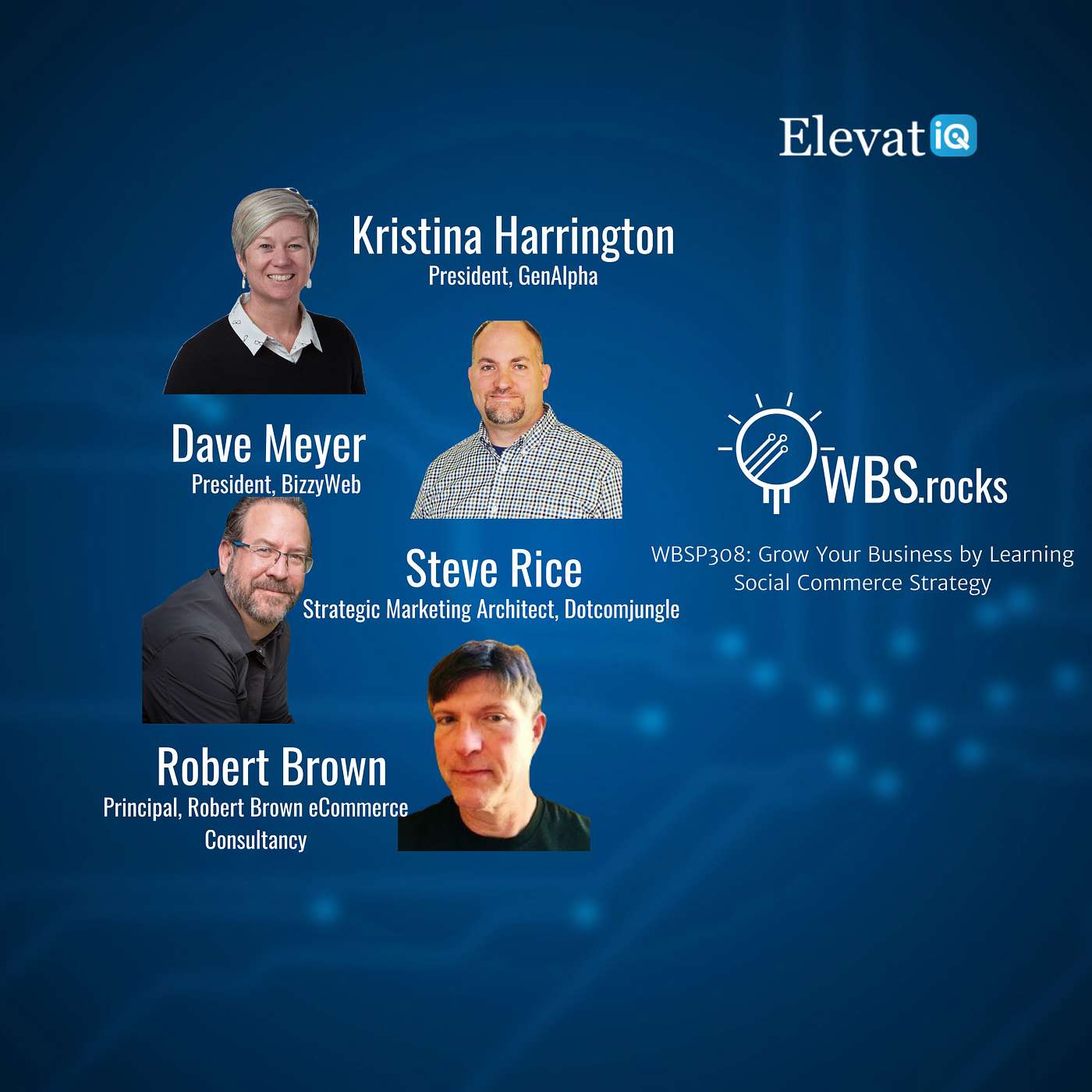 WBSP308: Grow Your Business by Learning Social Commerce Strategy, a Live Interview w/ a Panel of Experts