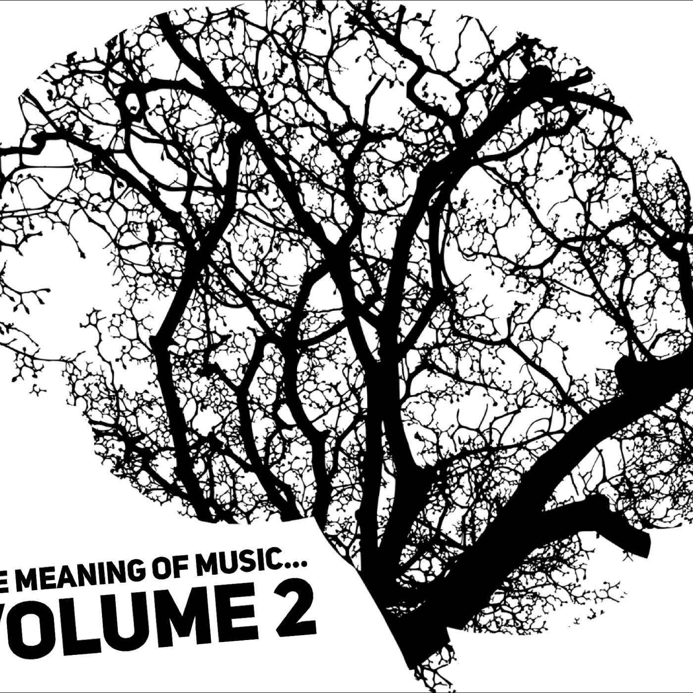 The Meaning of Music... Volume 2