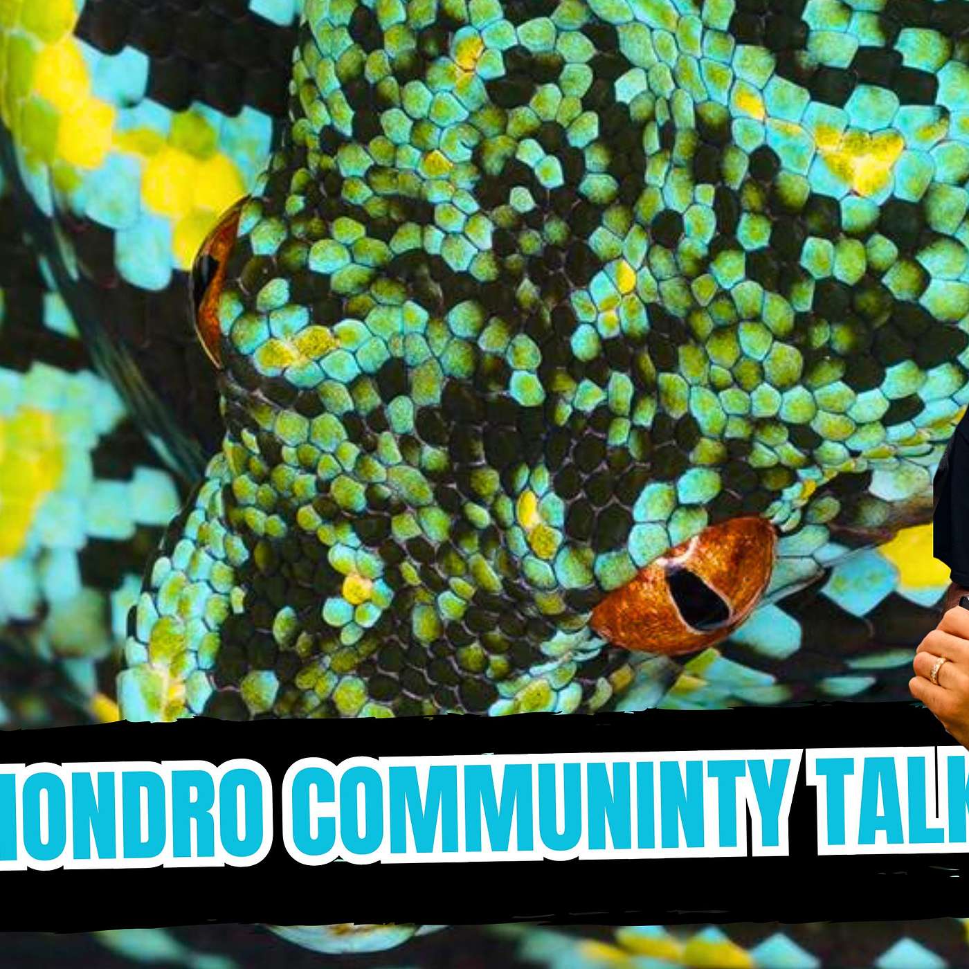 Discussing Current State Of The Chondro Community & Where Things Are Headed | All In The Tree episode artwork
