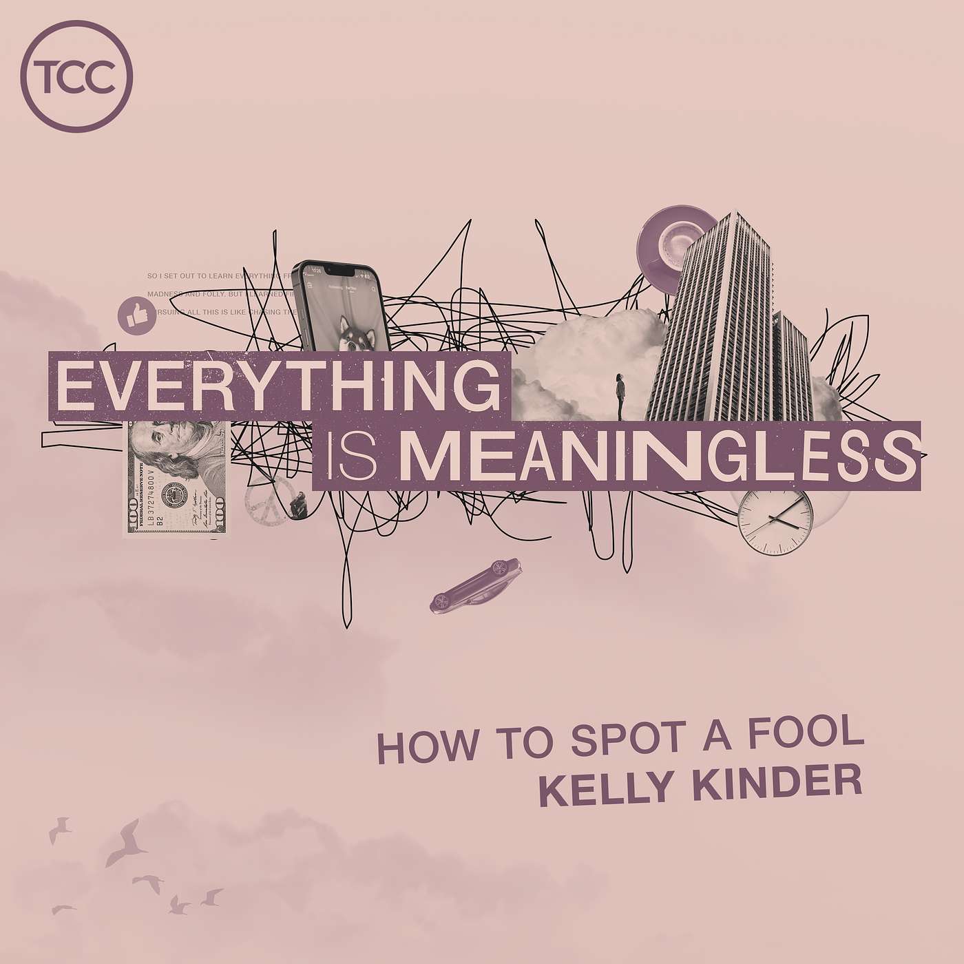 Everything Is Meaningless - How to Spot a Fool