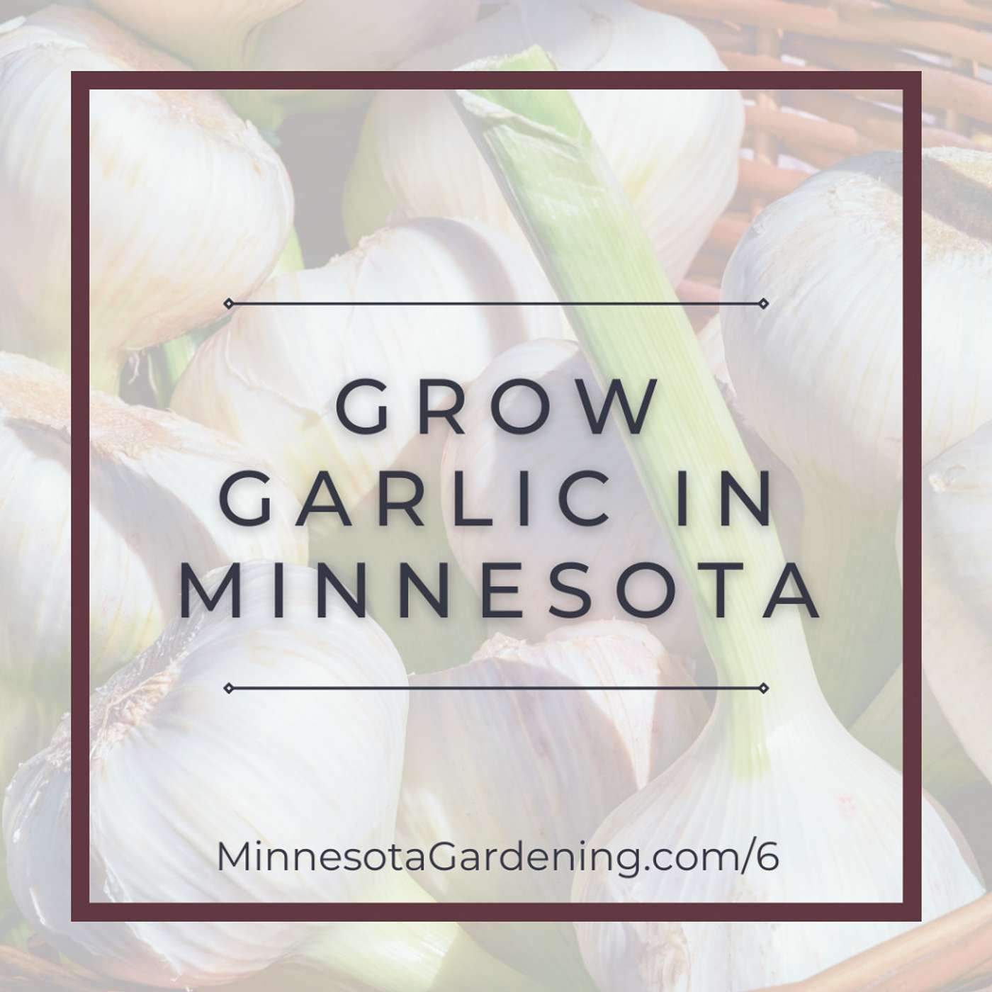 Minnesota Gardening Podcast
