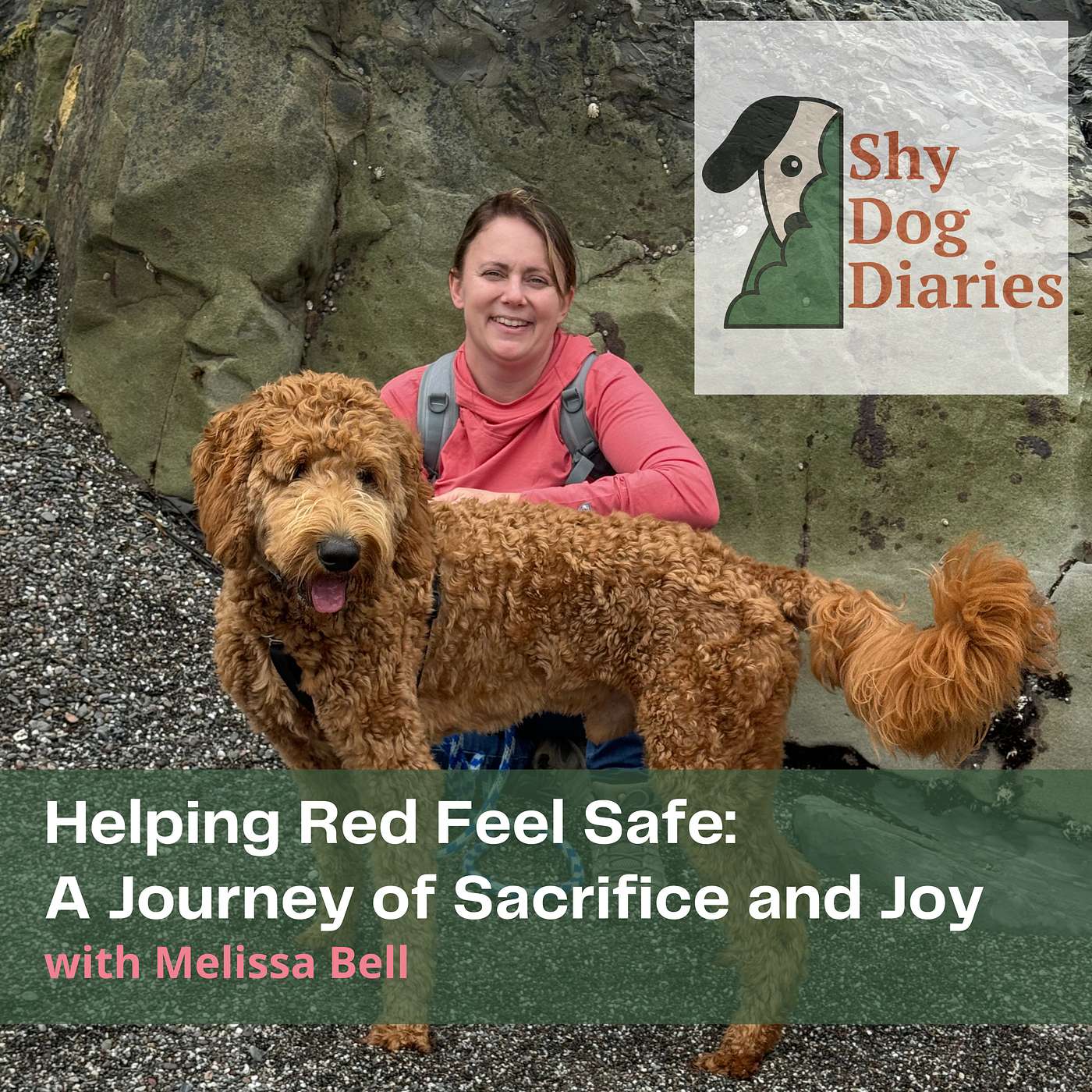 Helping Red Feel Safe: A Story of Sacrifice and Joy with Melissa Bell episode artwork