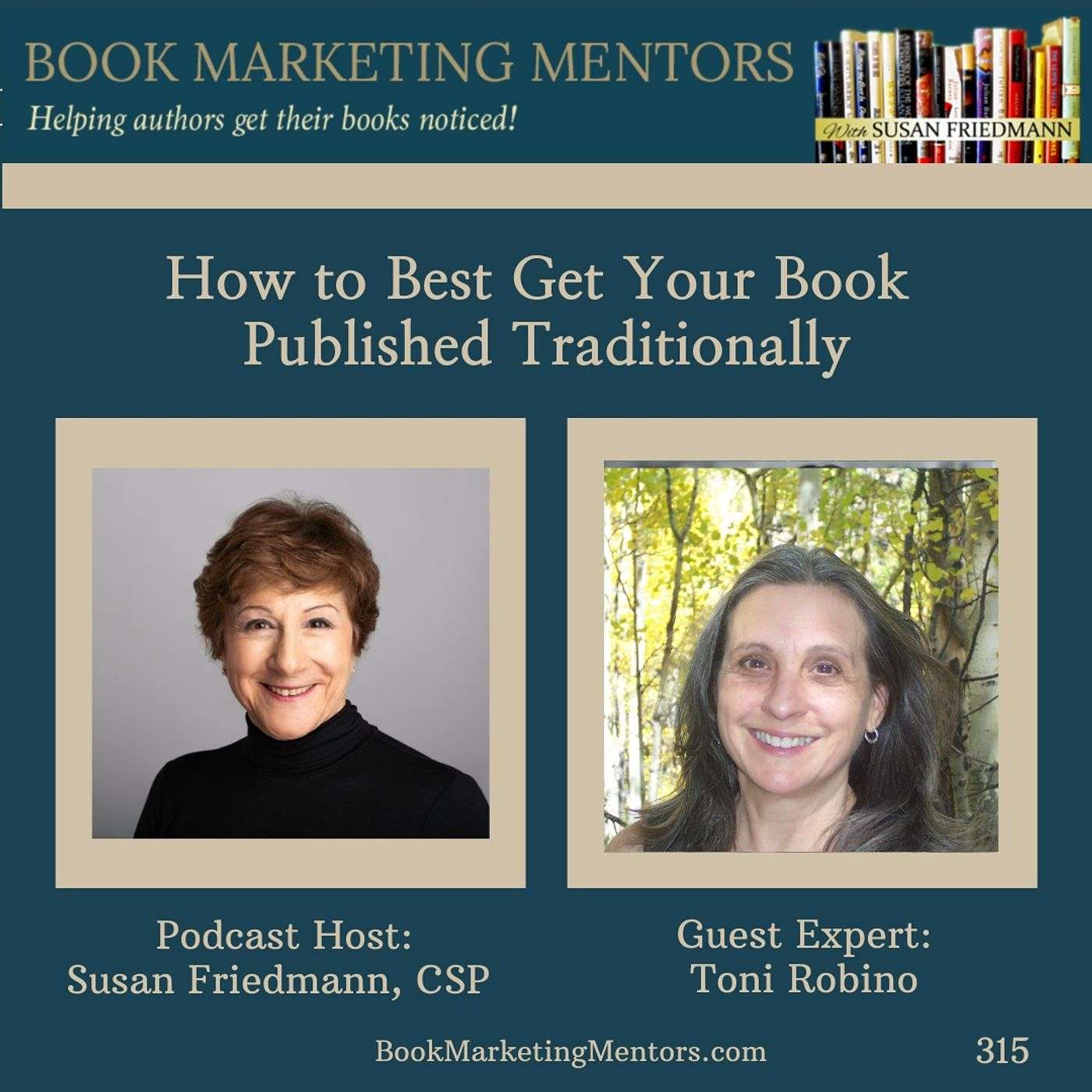 How to Best Get Your Book Published Traditionally - BM315