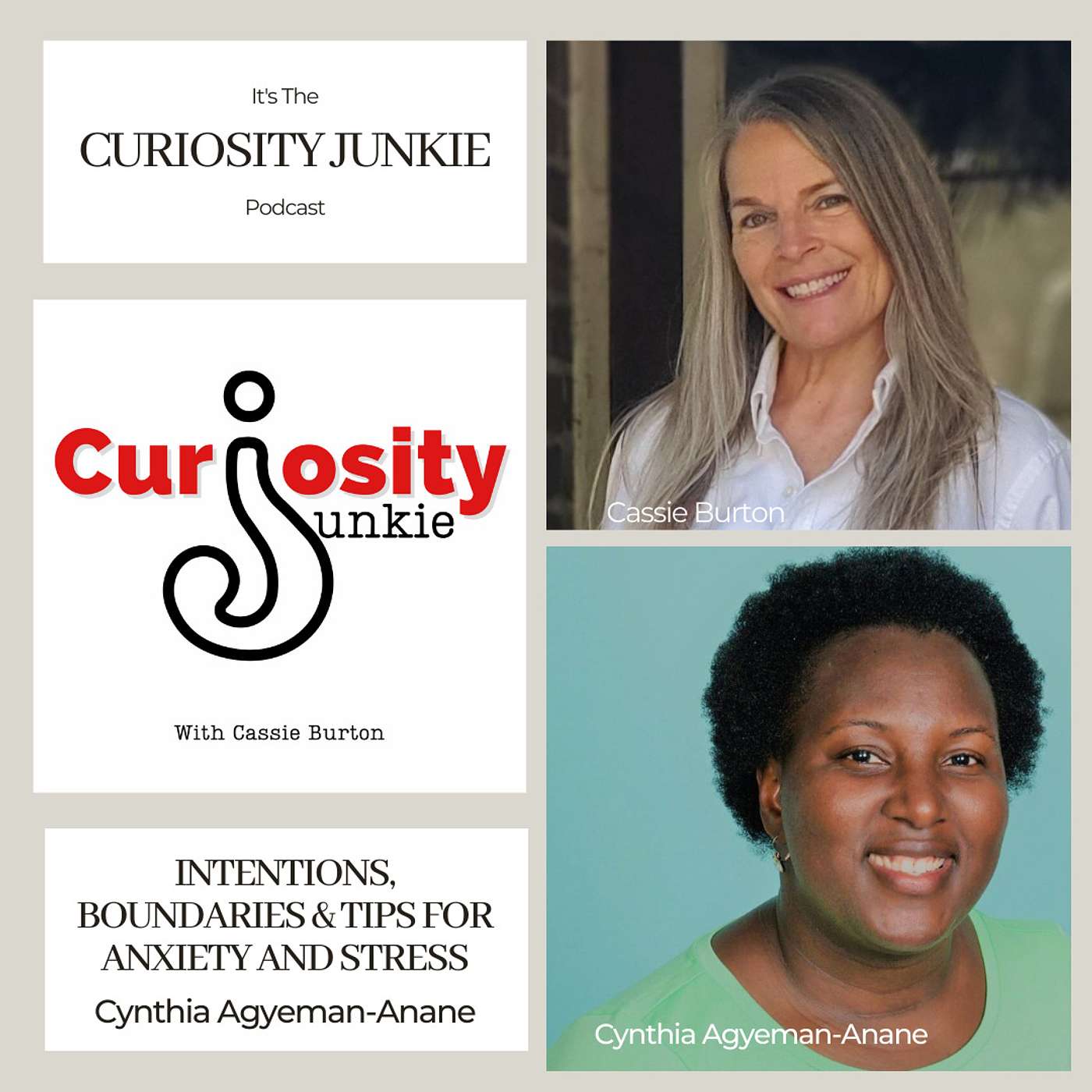 Curiosity Junkie