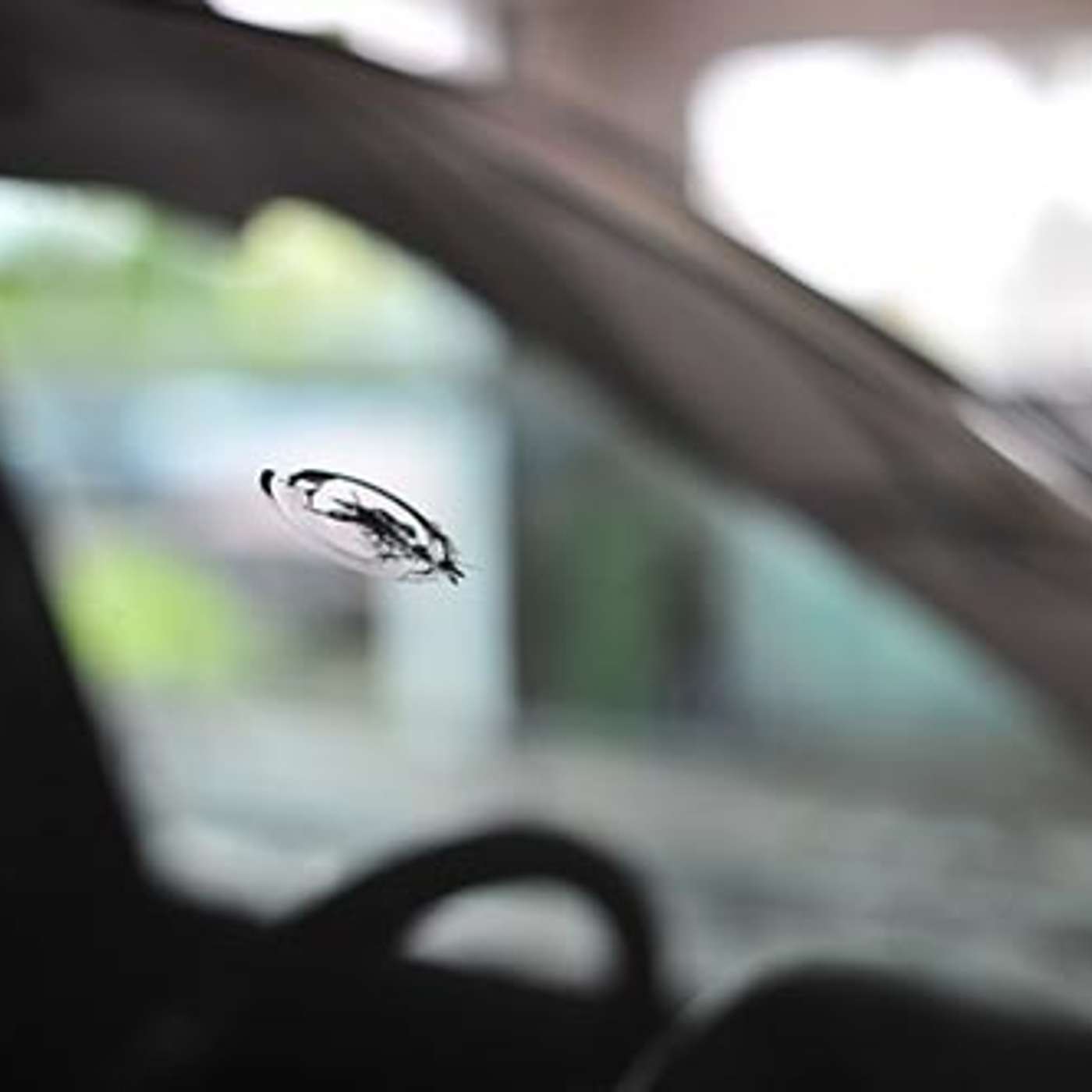 Fixing Your Windshield