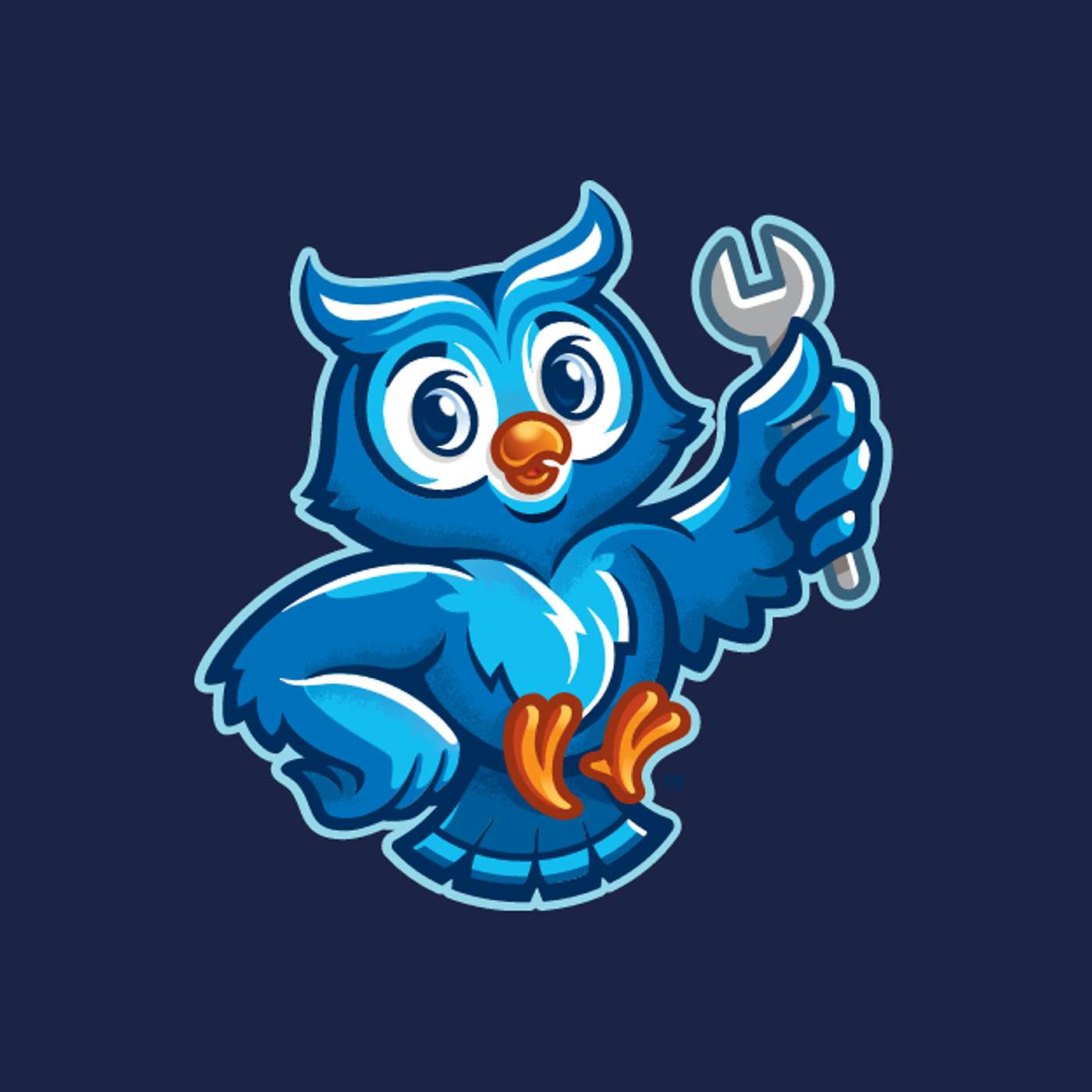 Blue Owl Plumbing Resources