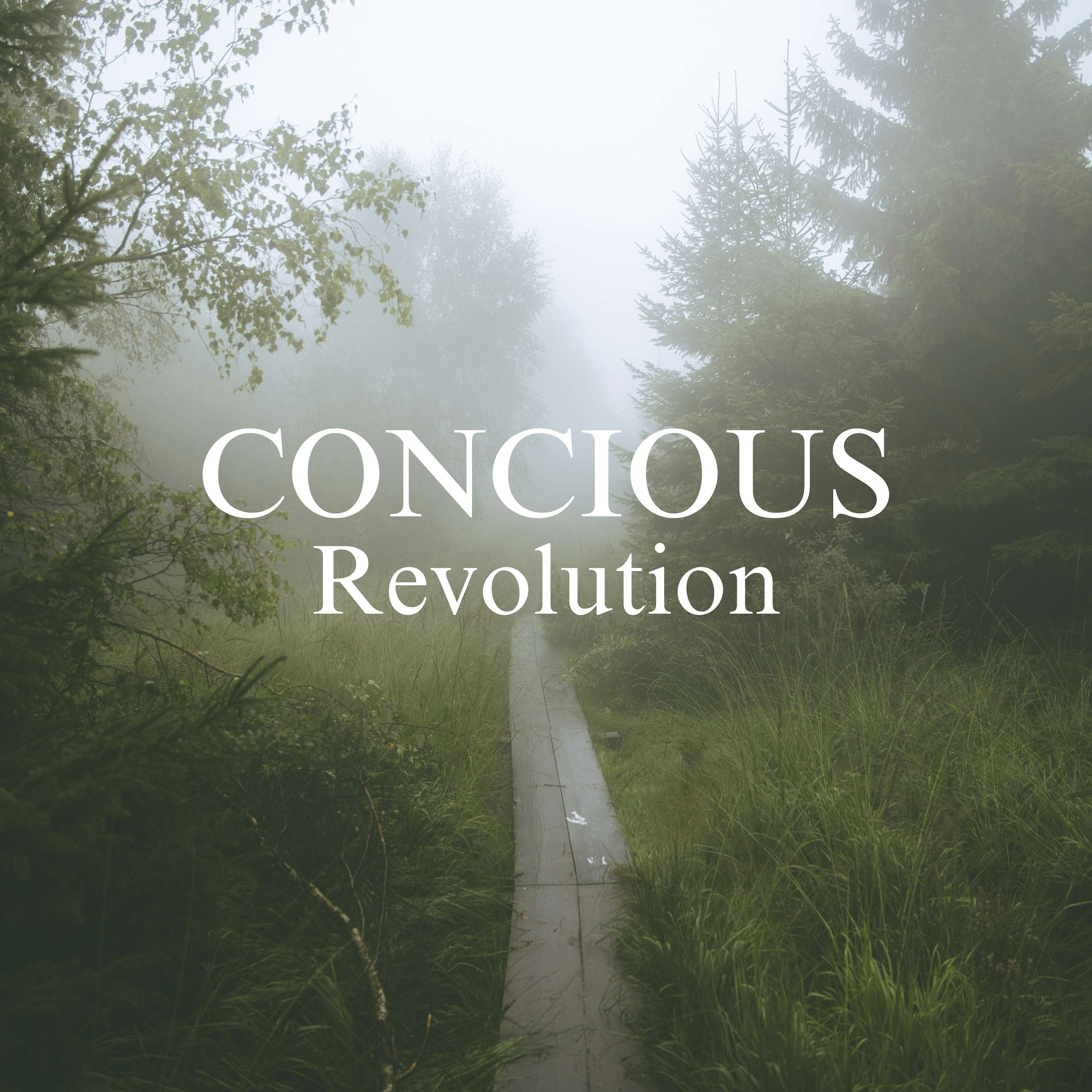 Conscious Evolution