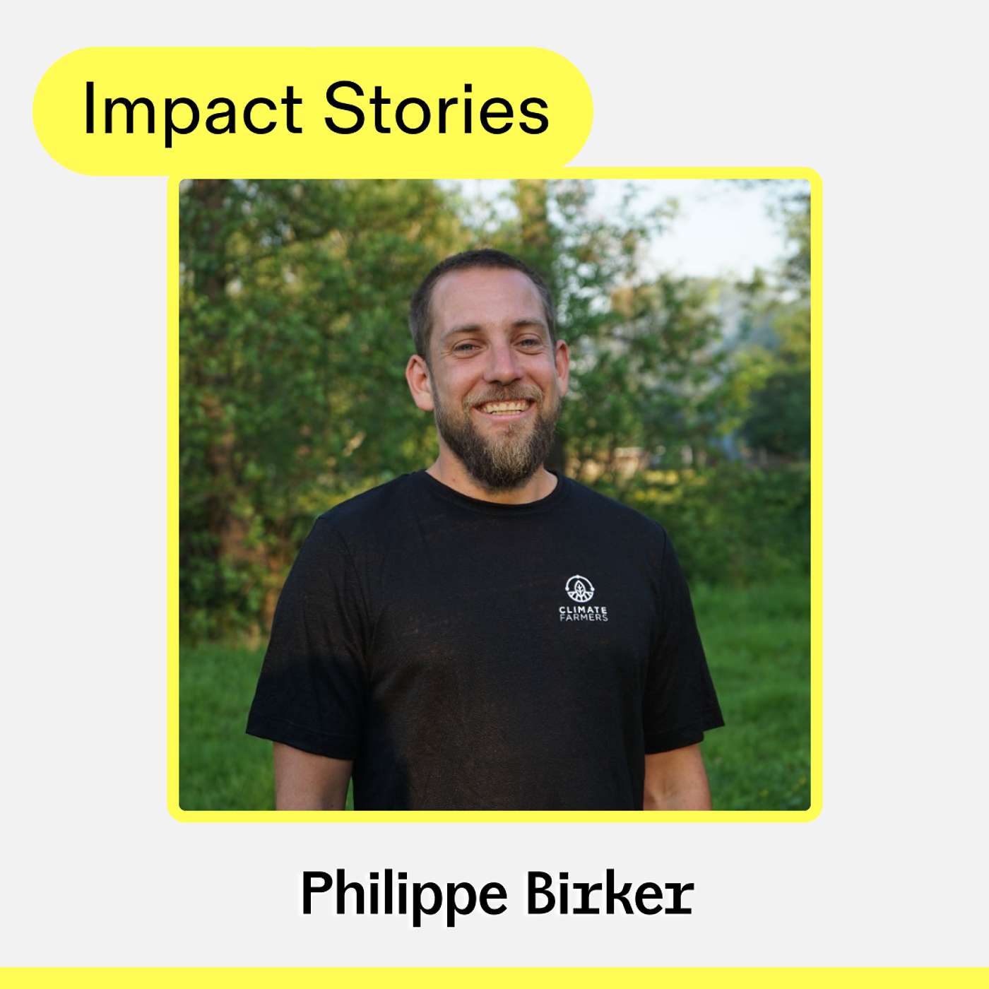 The Impact Stories