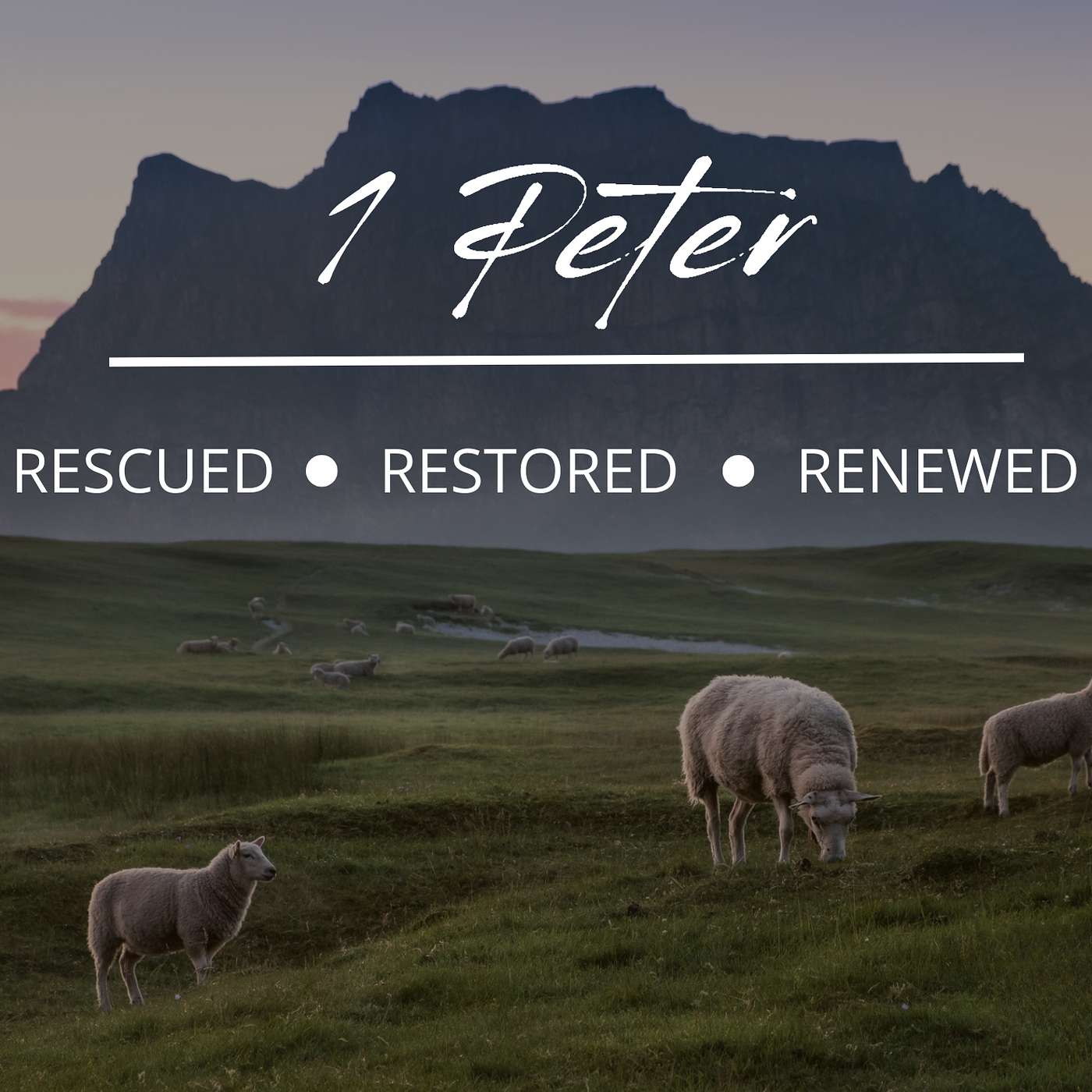 Does Suffering Surprise You? 1 Peter 4:12-19