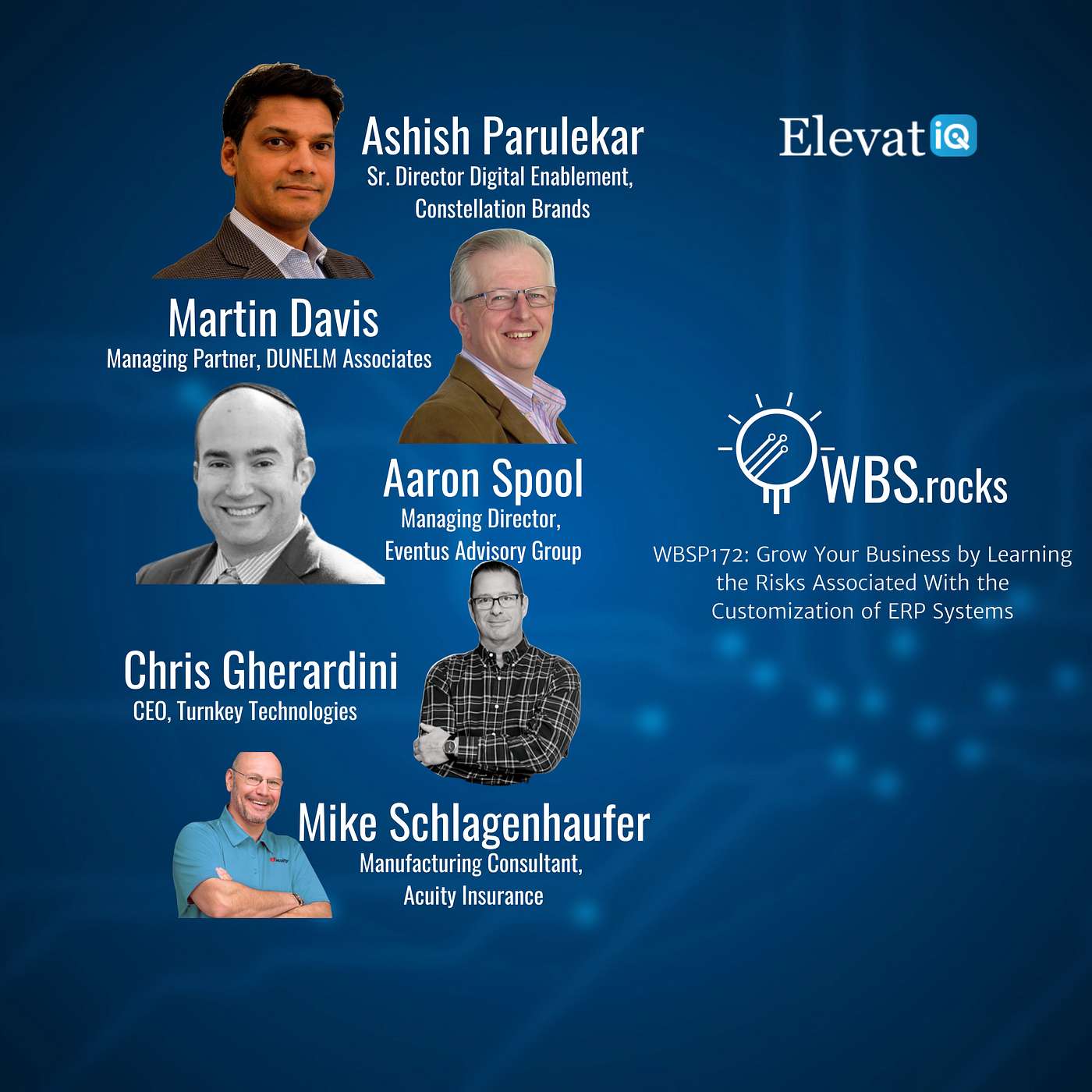 WBSP172: Grow Your Business by Learning the Risks Associated With the Customization of ERP Systems, a Live Interview w/ a Panel of Experts