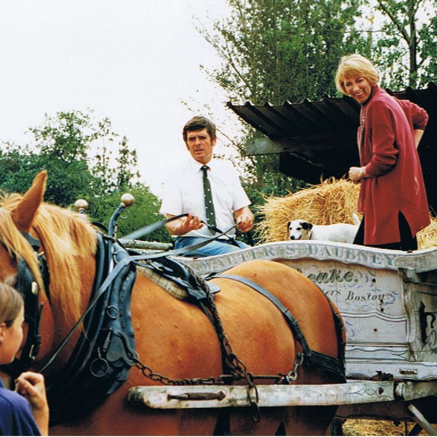 "IF YOU TOUCH A HORSE, A DOG OR EVEN A CAT IN THE NEXT THREE MONTHS, DO NOT COME BACK HERE!"